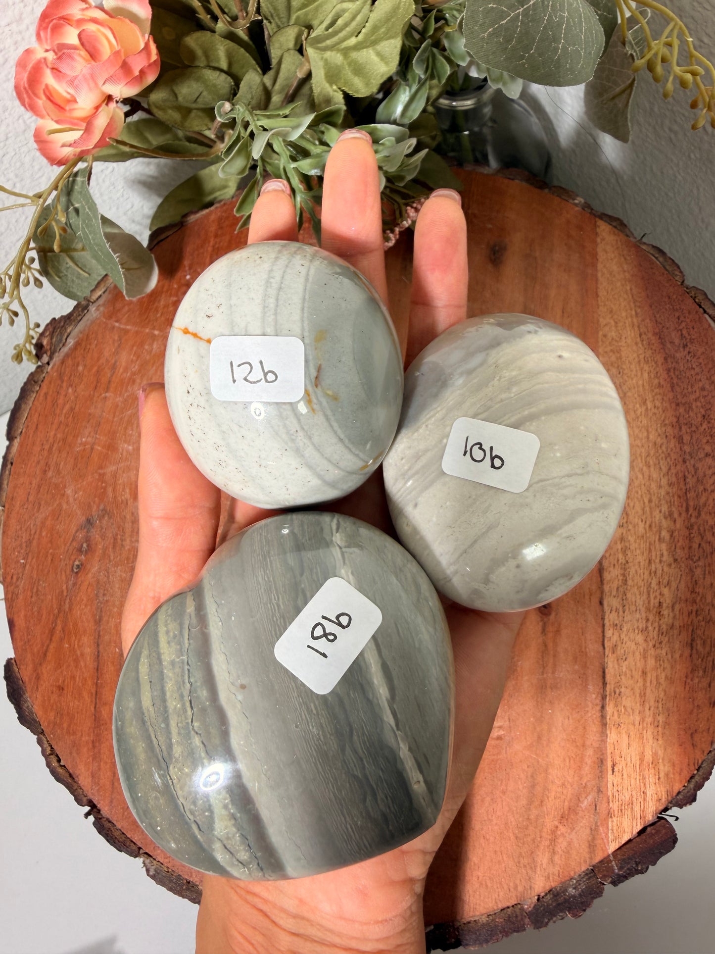 Zebra Sea Jasper Palm & Hearts 12b, 10b, 18b