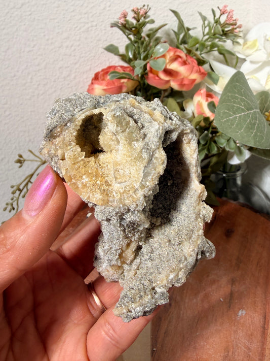 Calcite Whelk