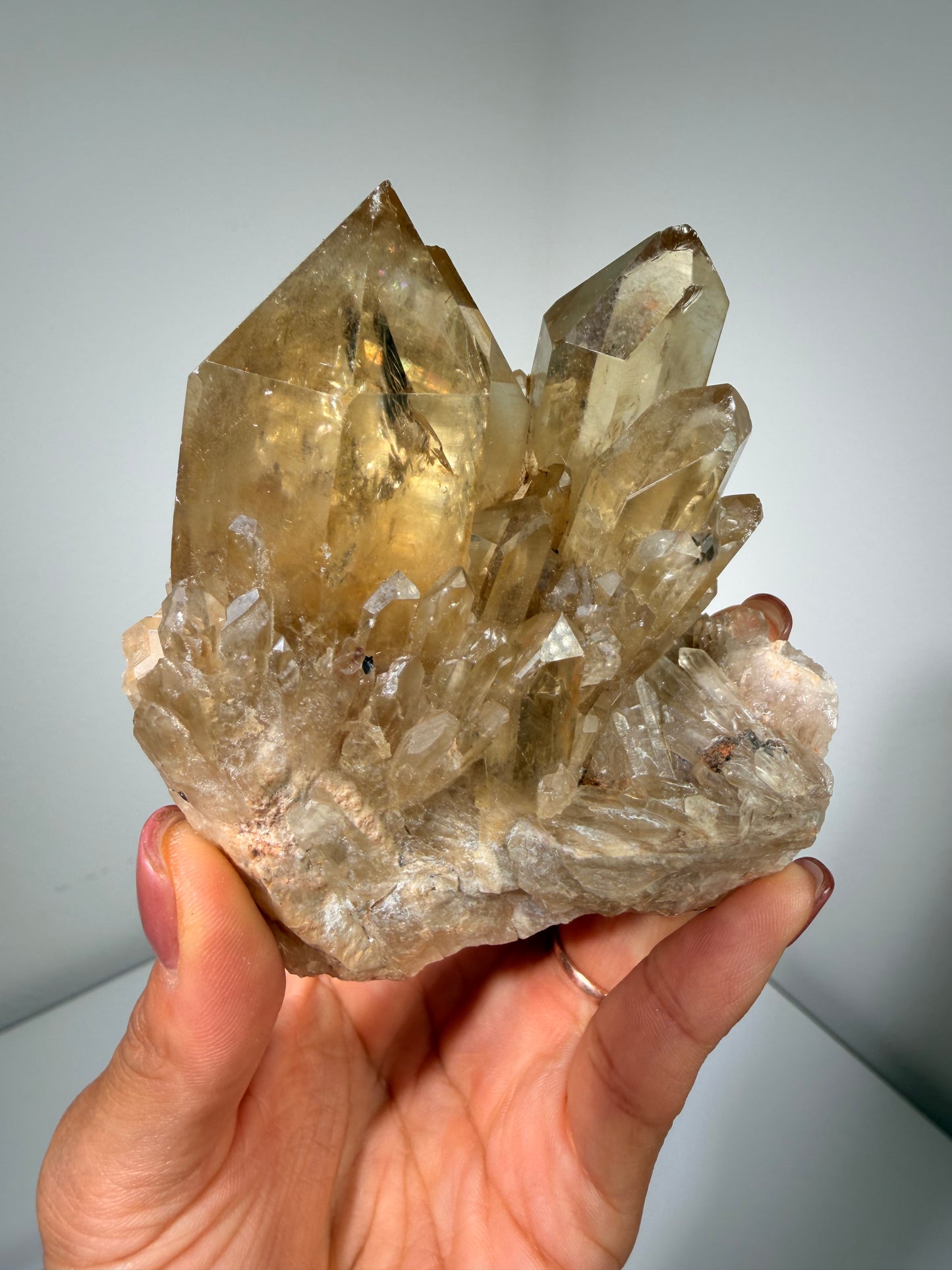 Kundalini Citrine Congo 133