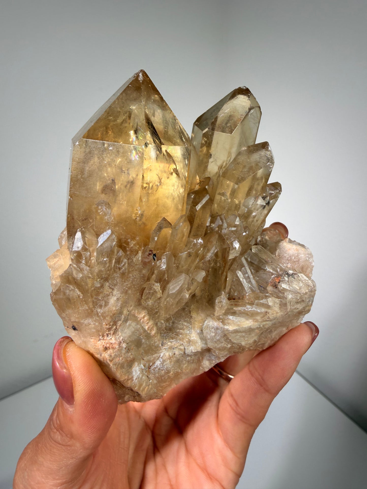 Kundalini Citrine Congo 133