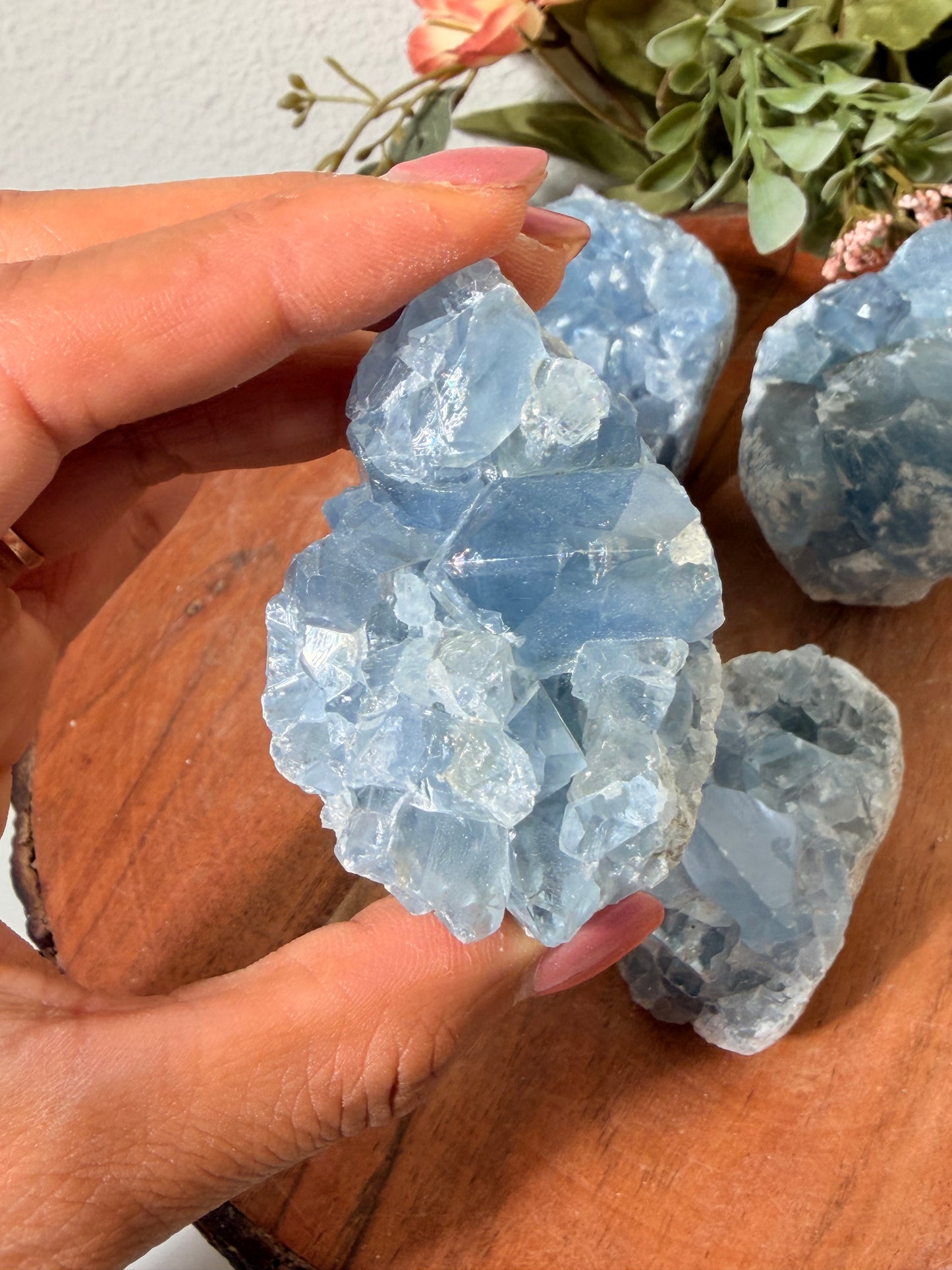 Celestite 28, 35a, 18b, 18a