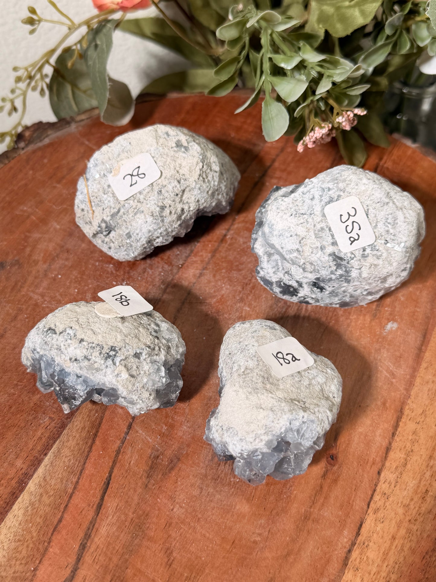 Celestite 28, 35a, 18b, 18a