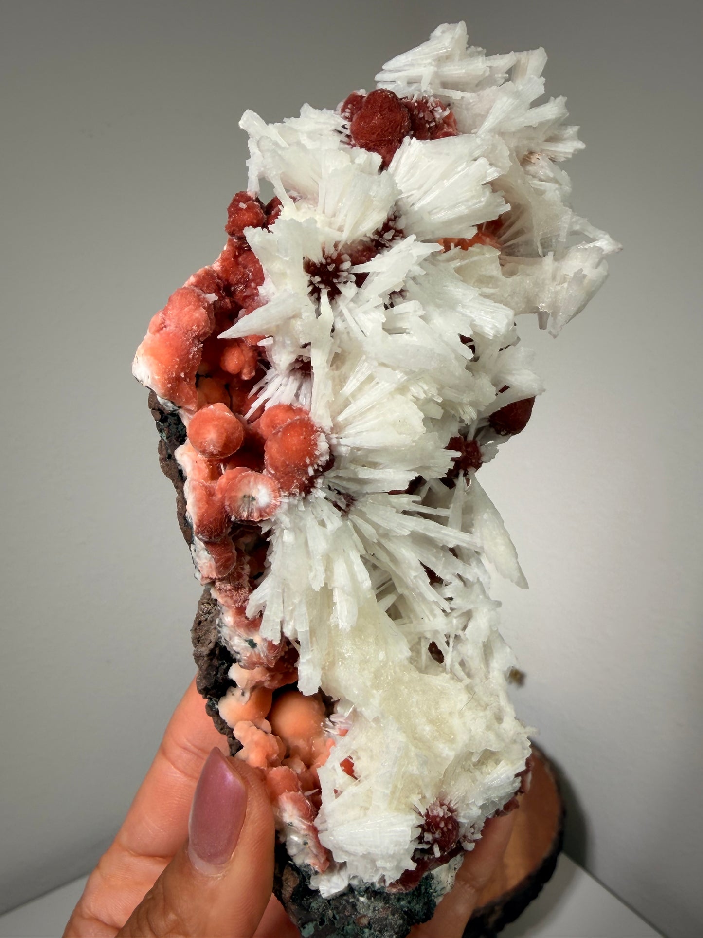 Red Thomsonite with Scolecite and Caclite 375a