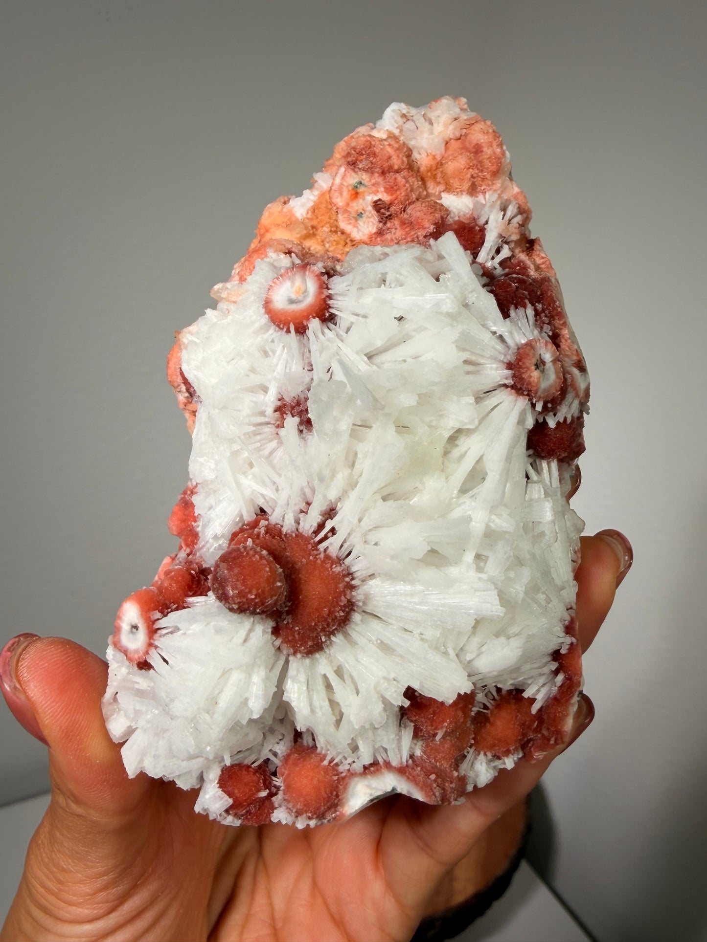 Red Thomsonite with Scolecite and Caclite 375b