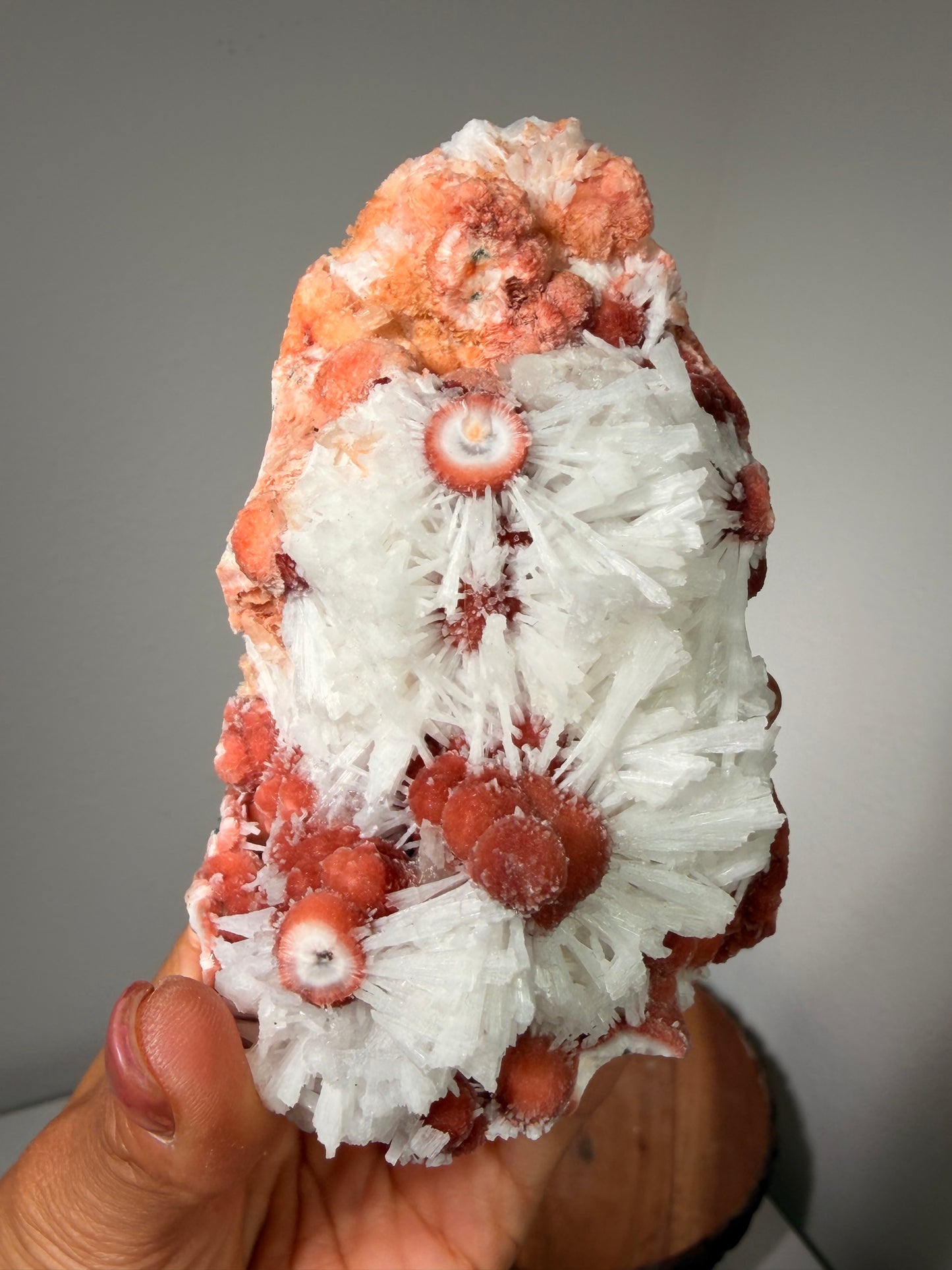 Red Thomsonite with Scolecite and Caclite 375b