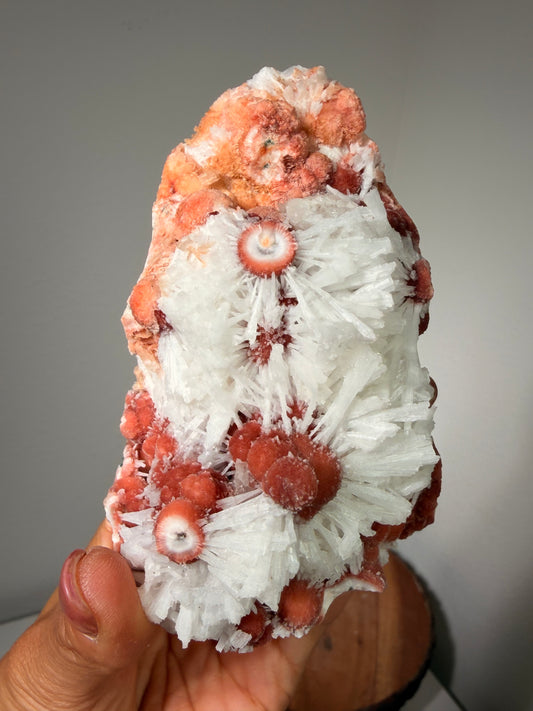 Red Thomsonite with Scolecite and Caclite 375b
