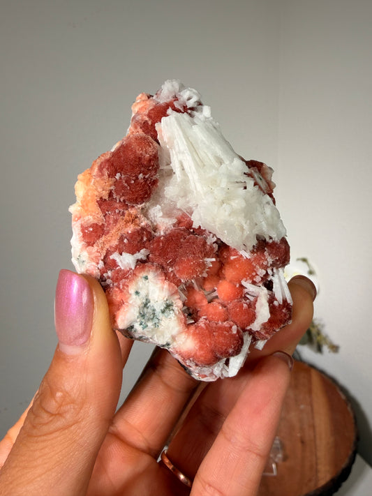 Red Thomsonite with Scolecite and Caclite 125b