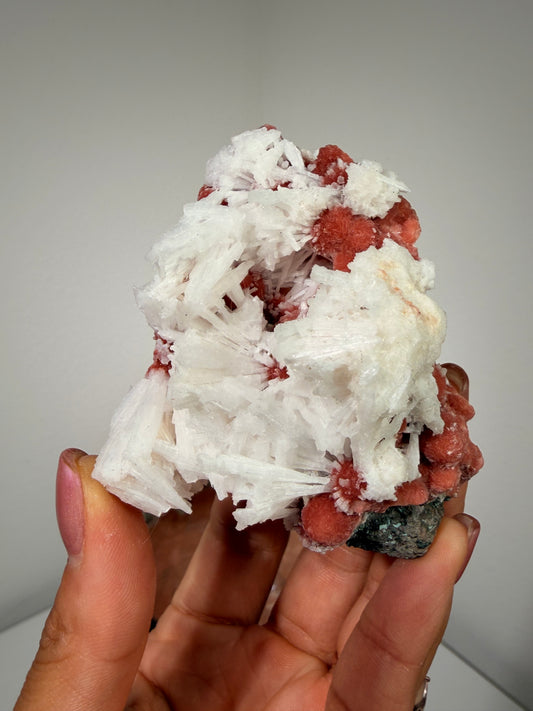 Red Thomsonite with Scolecite and Caclite 115a