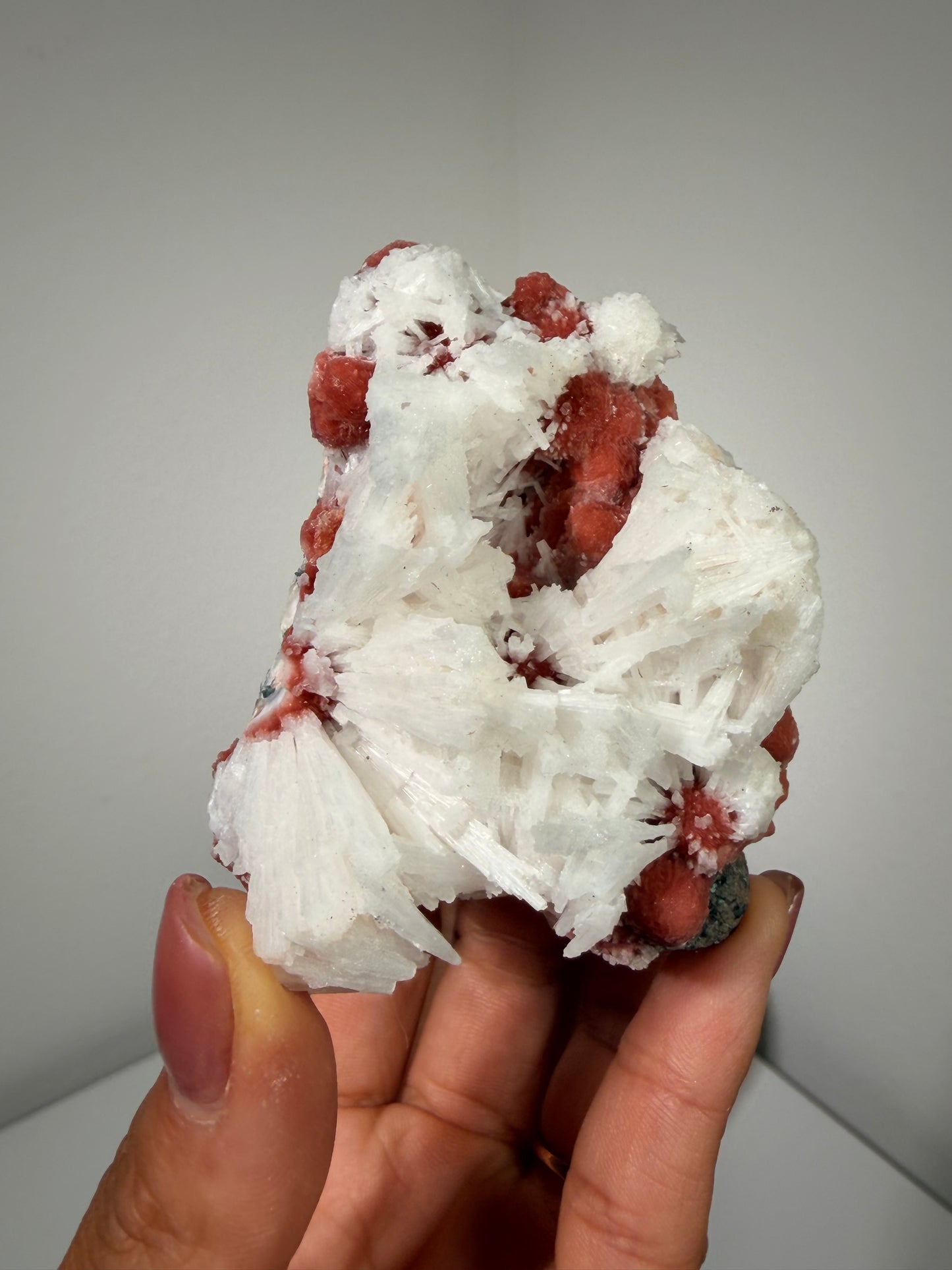 Red Thomsonite with Scolecite and Caclite 115a