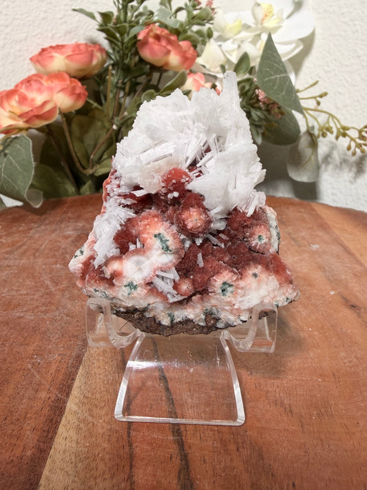 Red Thomsonite with Scolecite and Caclite 85e