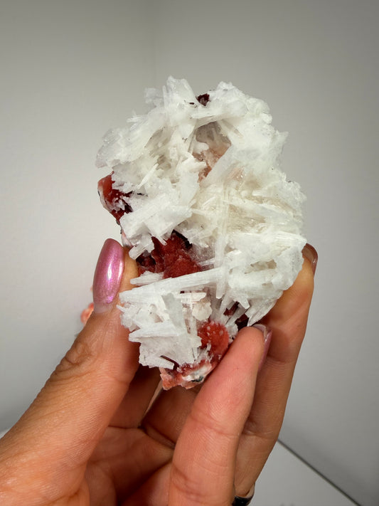 Red Thomsonite with Scolecite and Caclite 75a