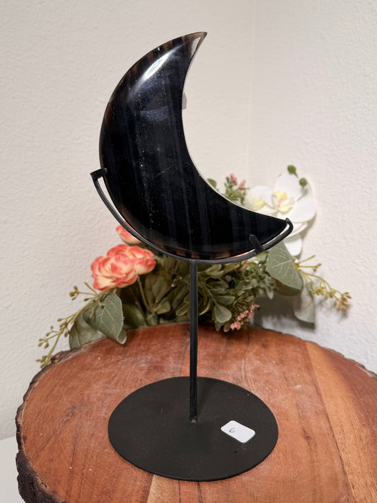 Midnight Lace Moons on custom black stand #6