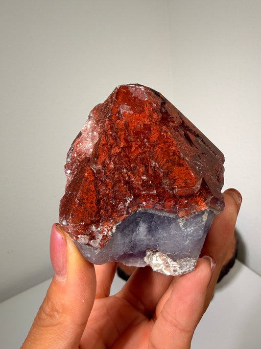 "Ruby Slippers" Alien Amethyst with Red Hematite 65