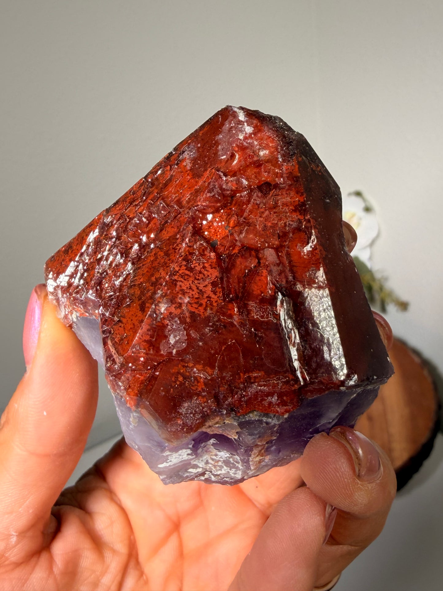 "Ruby Slippers" Alien Amethyst with Red Hematite 65