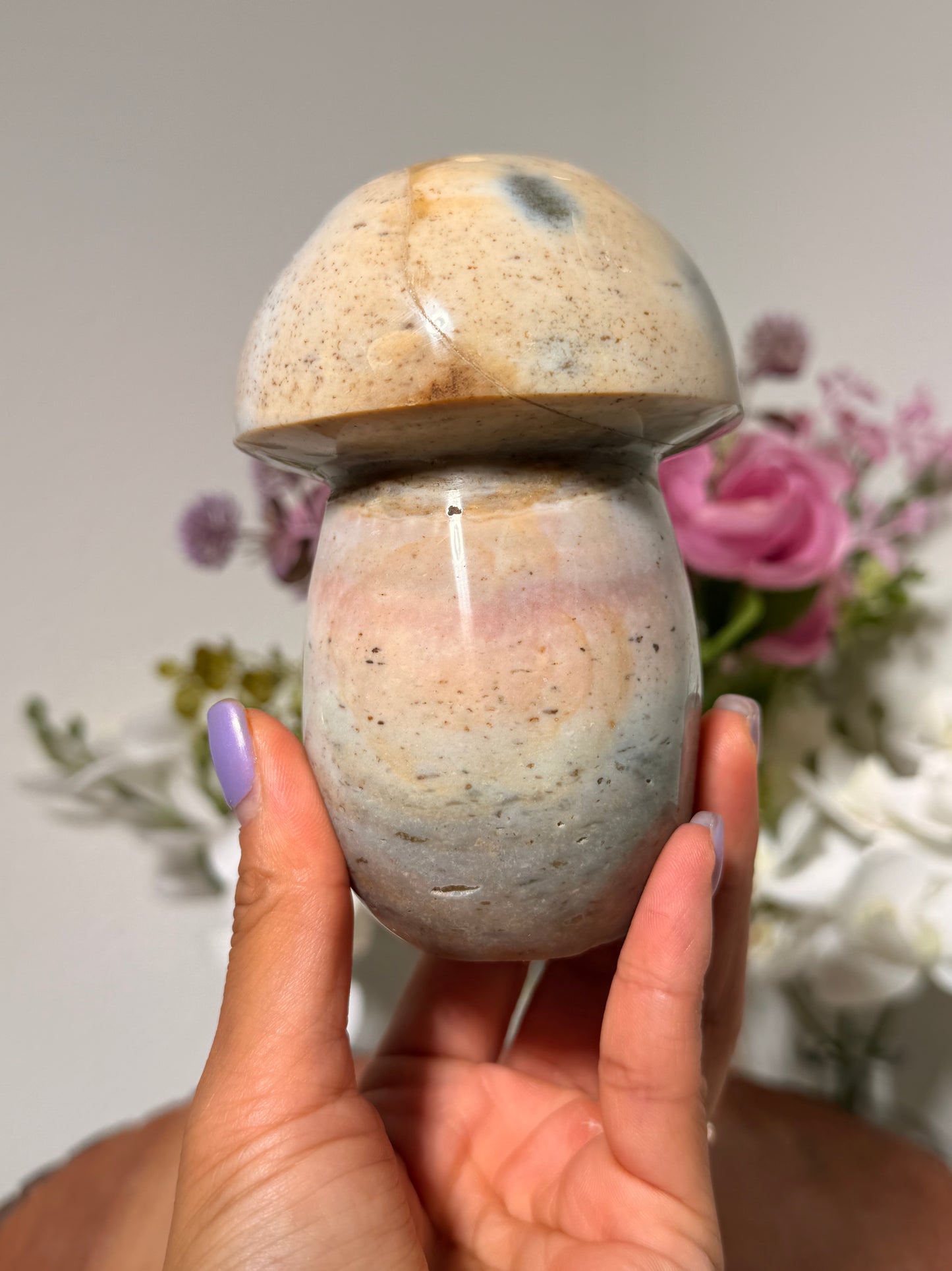 Ocean Jasper Mushroom C
