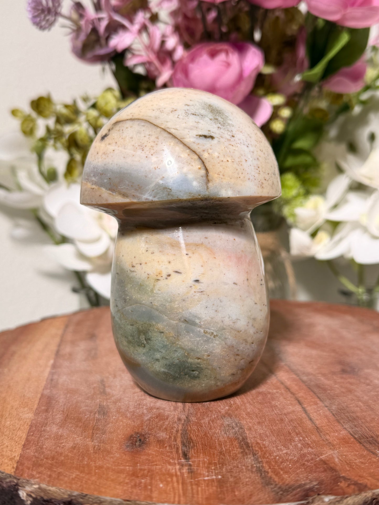 Ocean Jasper Mushroom C