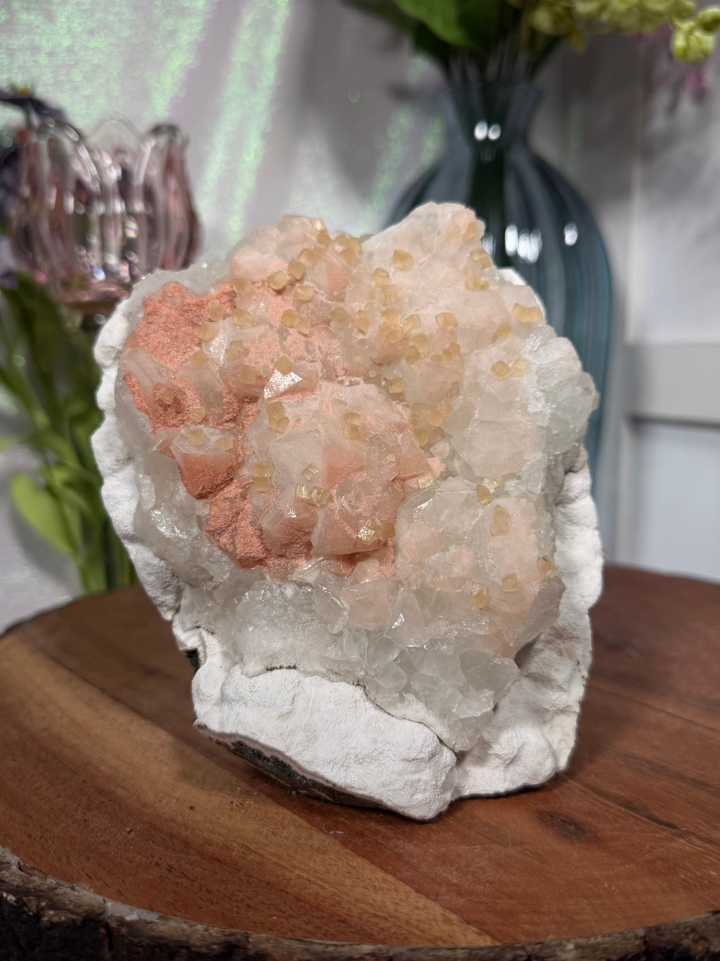 'Starlight Blush' 222