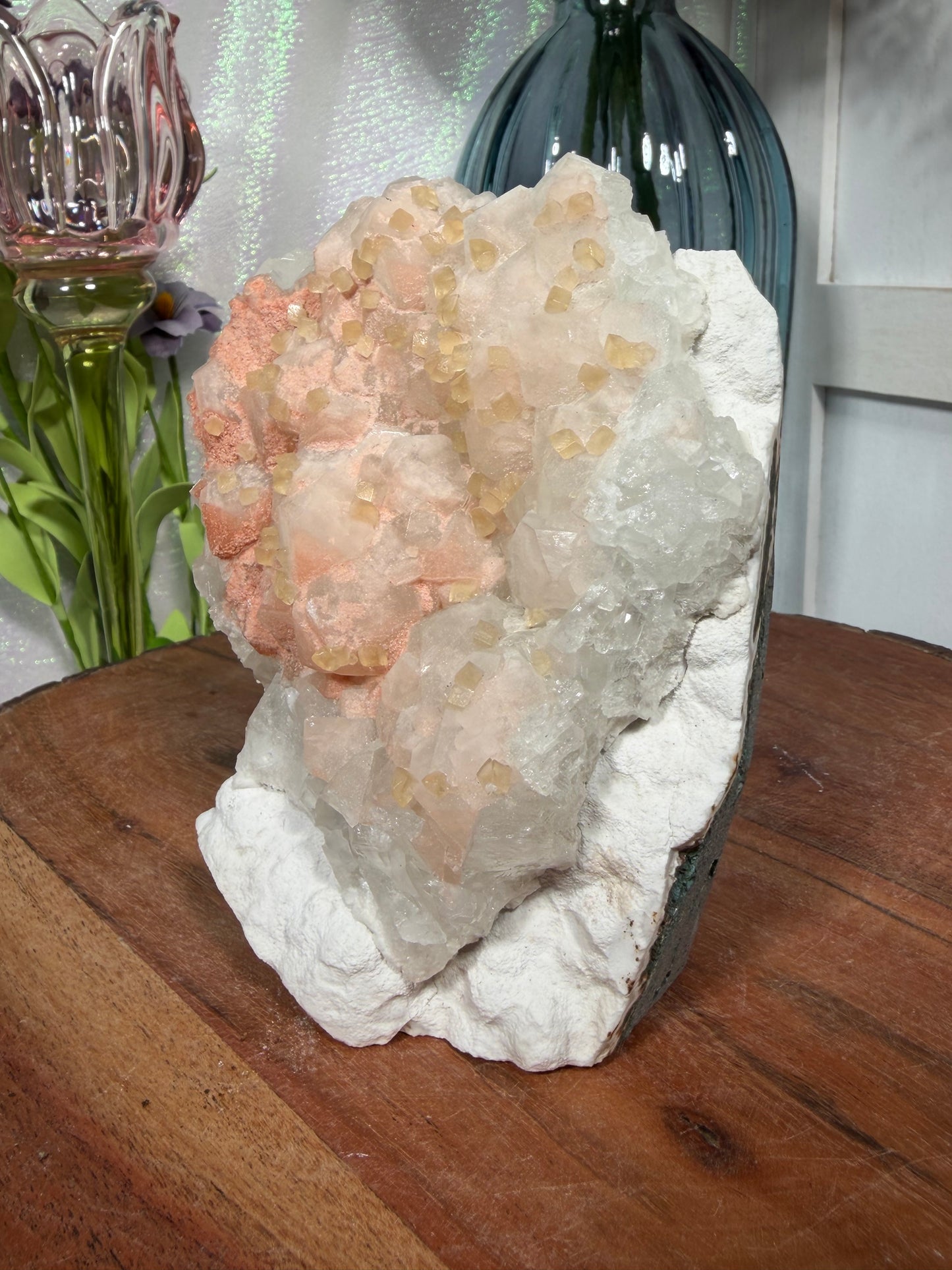 'Starlight Blush' 222