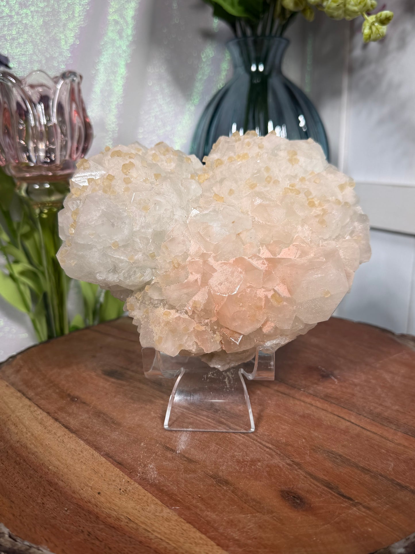 'Starlight Blush' 188