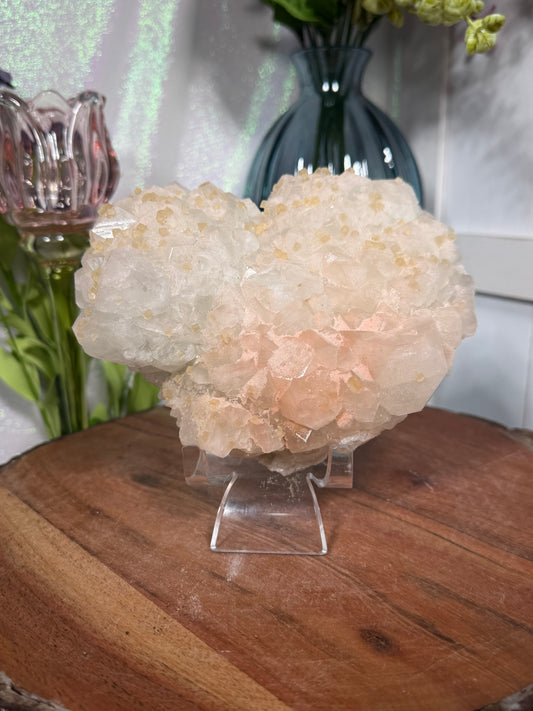 'Starlight Blush' 188
