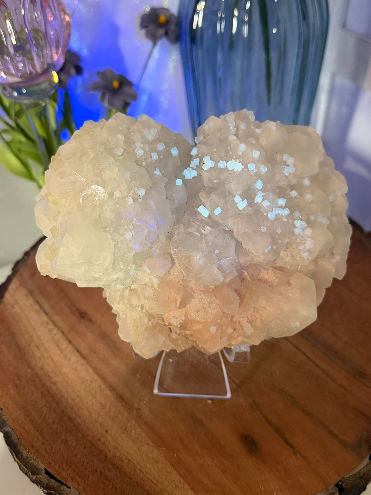 'Starlight Blush' 188