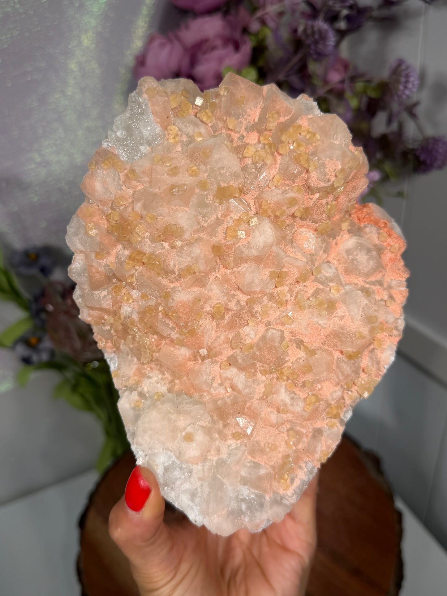 'Starlight Blush' 278