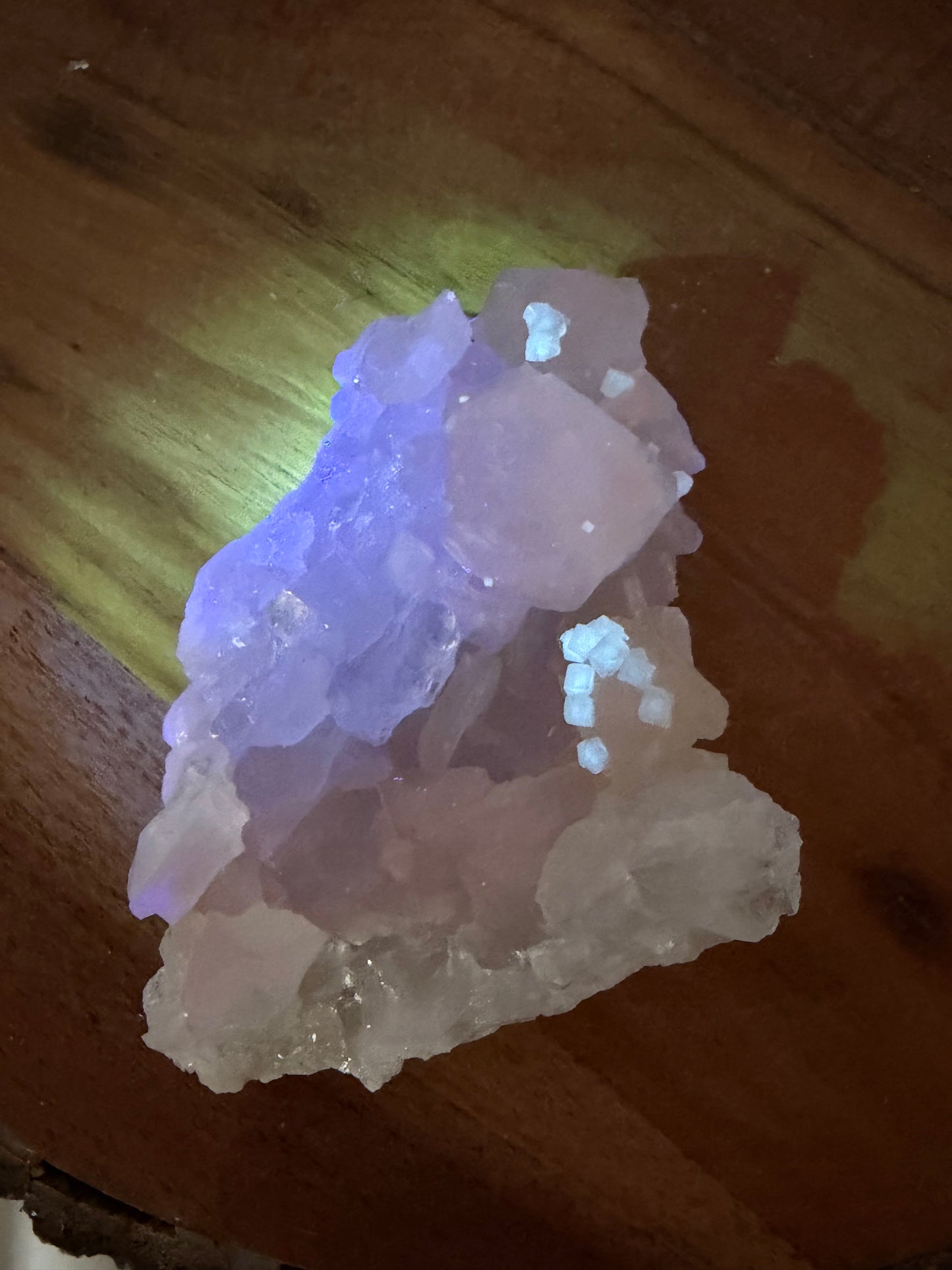 'Starlight Blush' 35