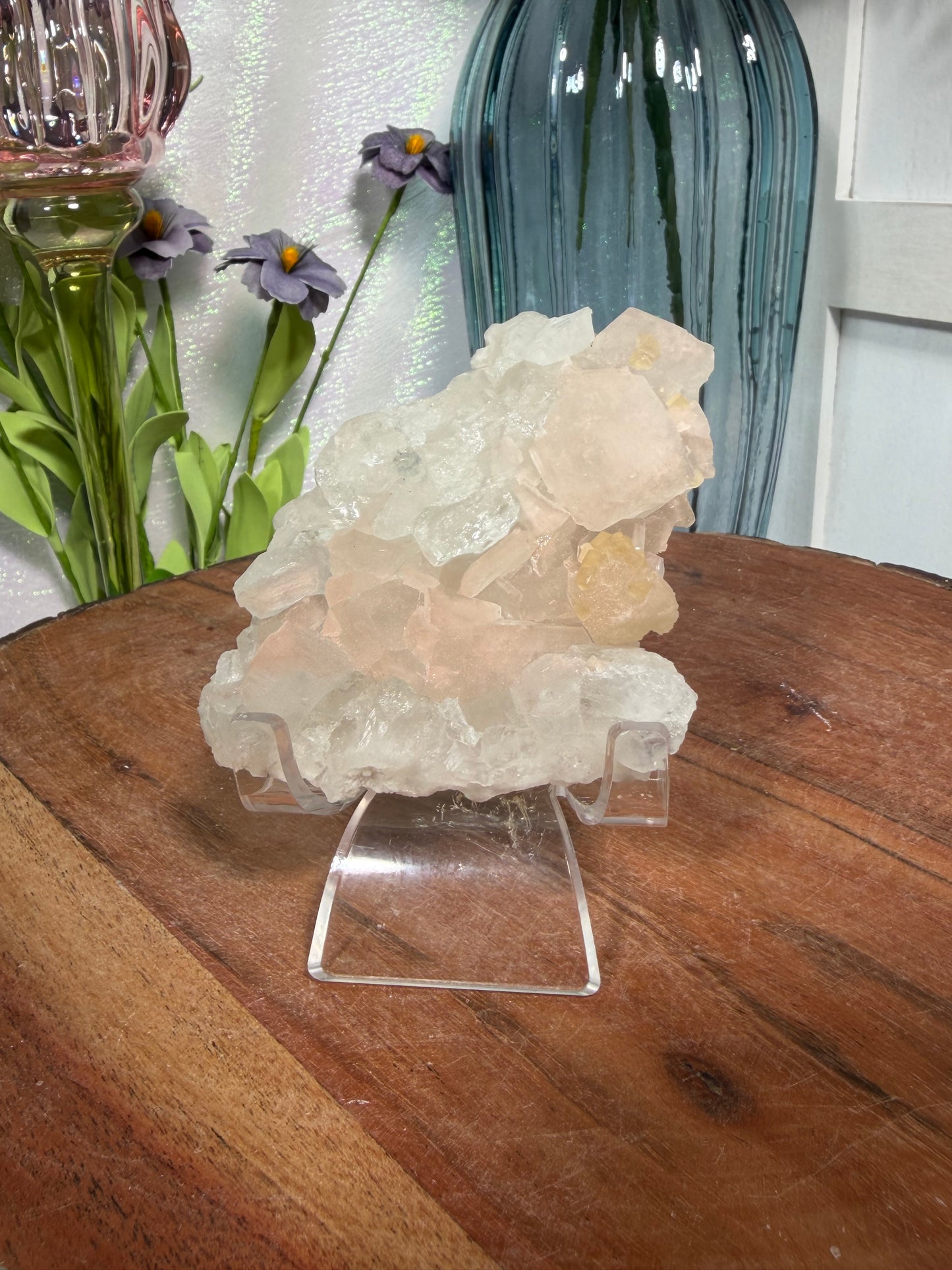'Starlight Blush' 35