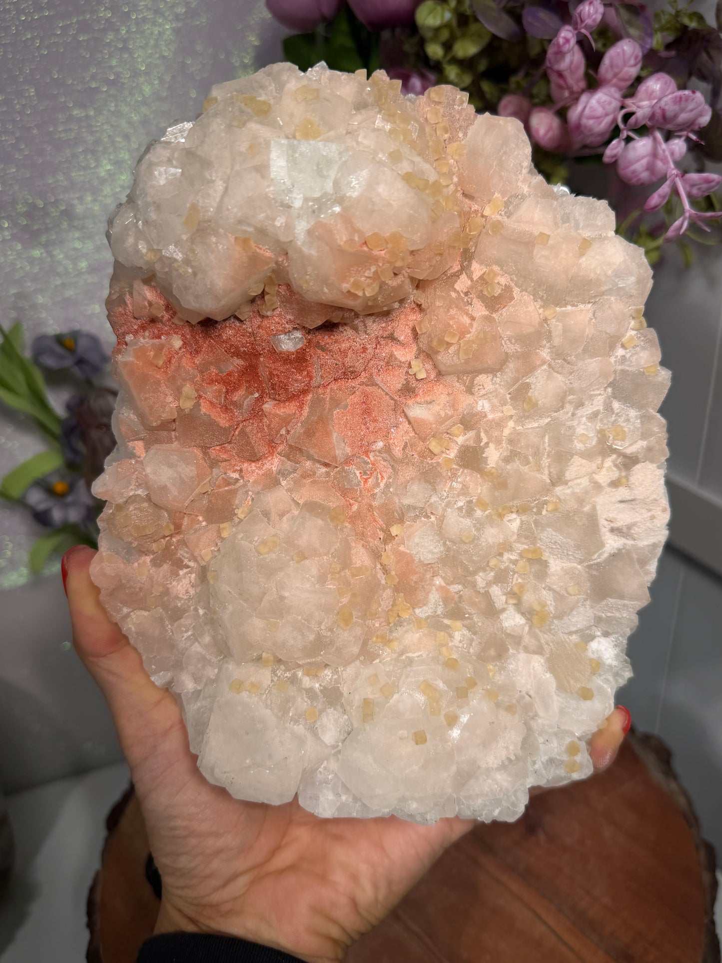 'Starlight Blush' 201