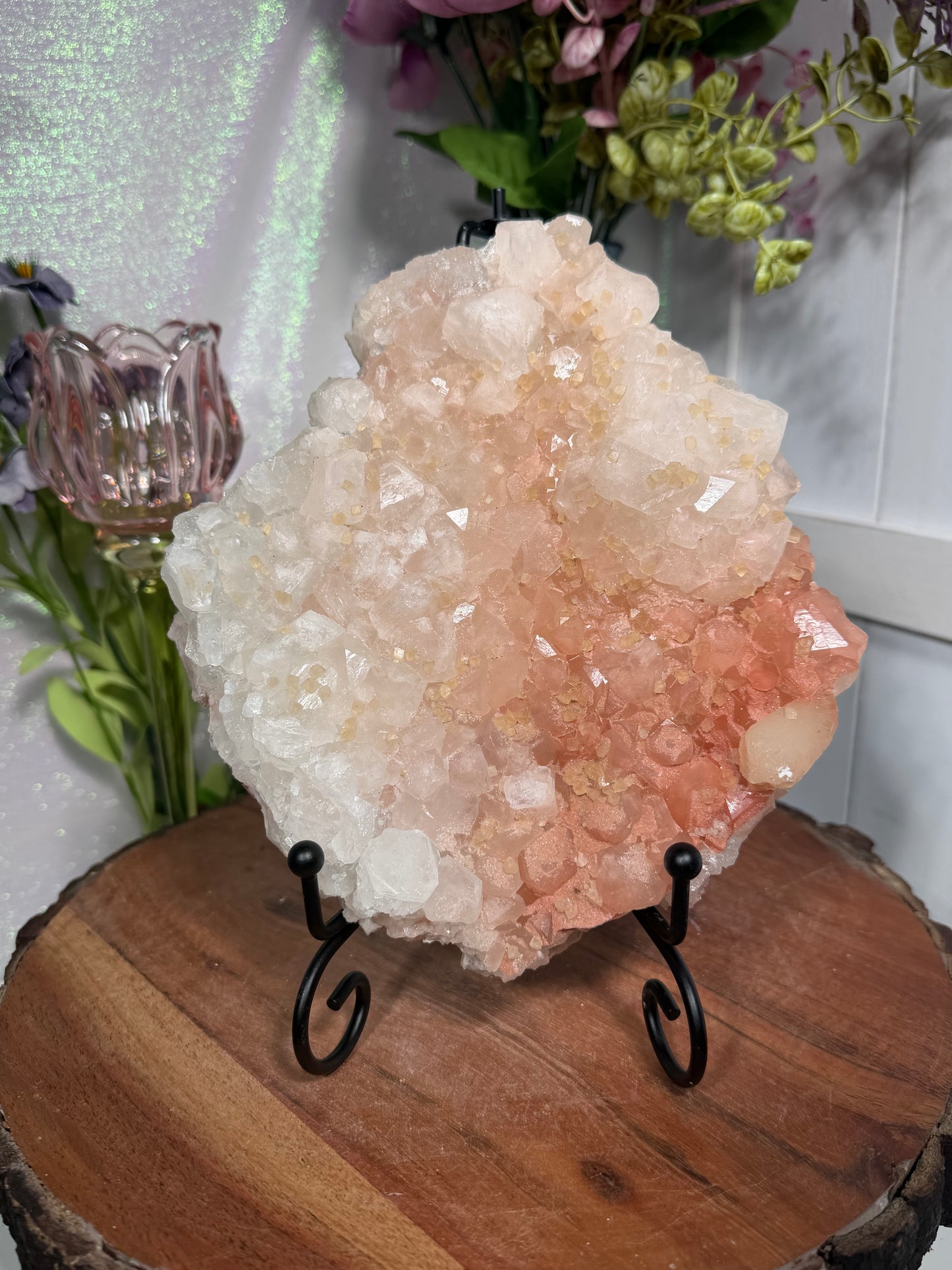 'Starlight Blush' 211
