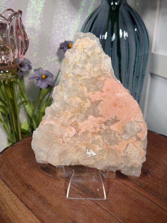 'Starlight Blush' 108