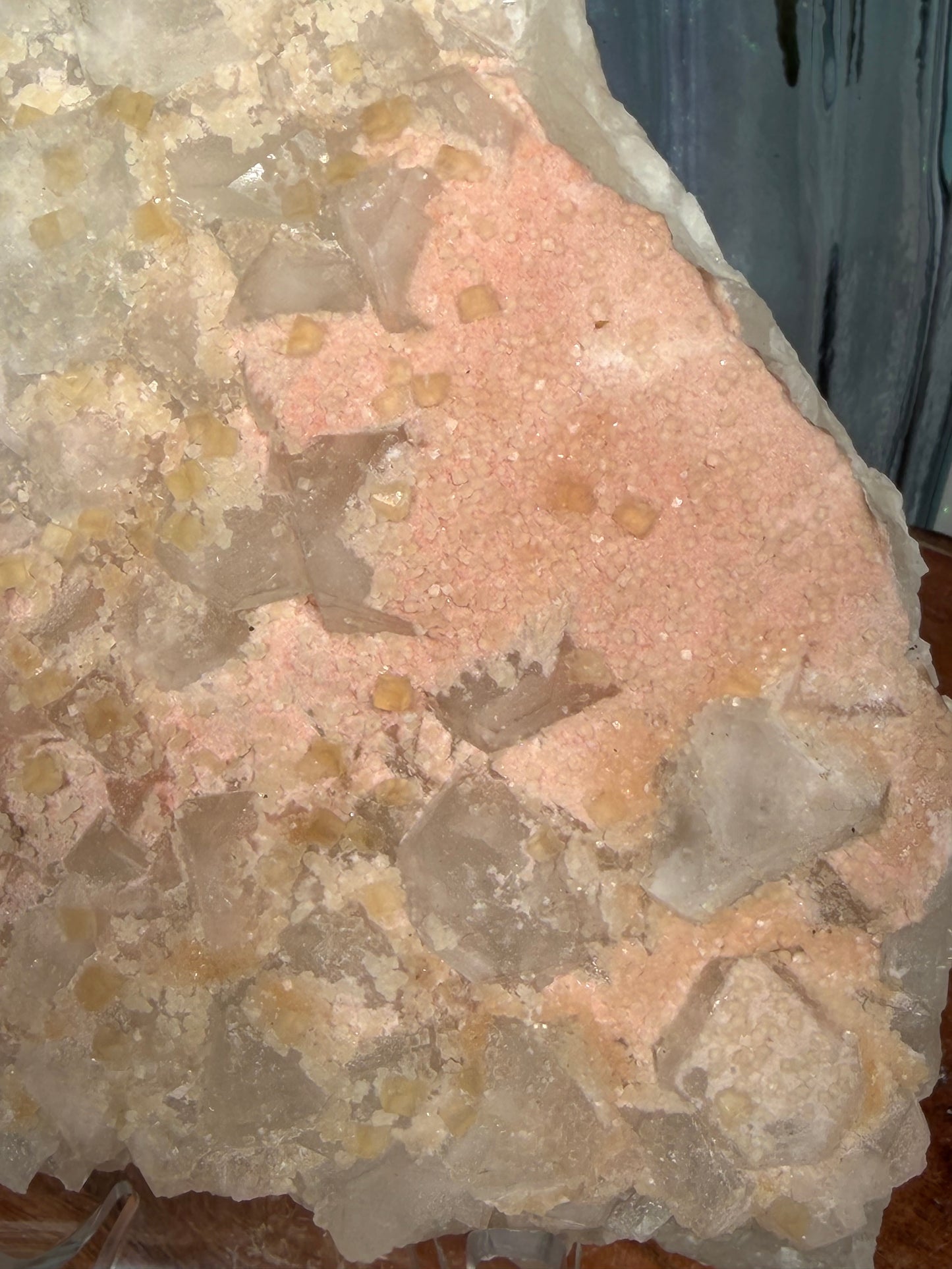 'Starlight Blush' 108
