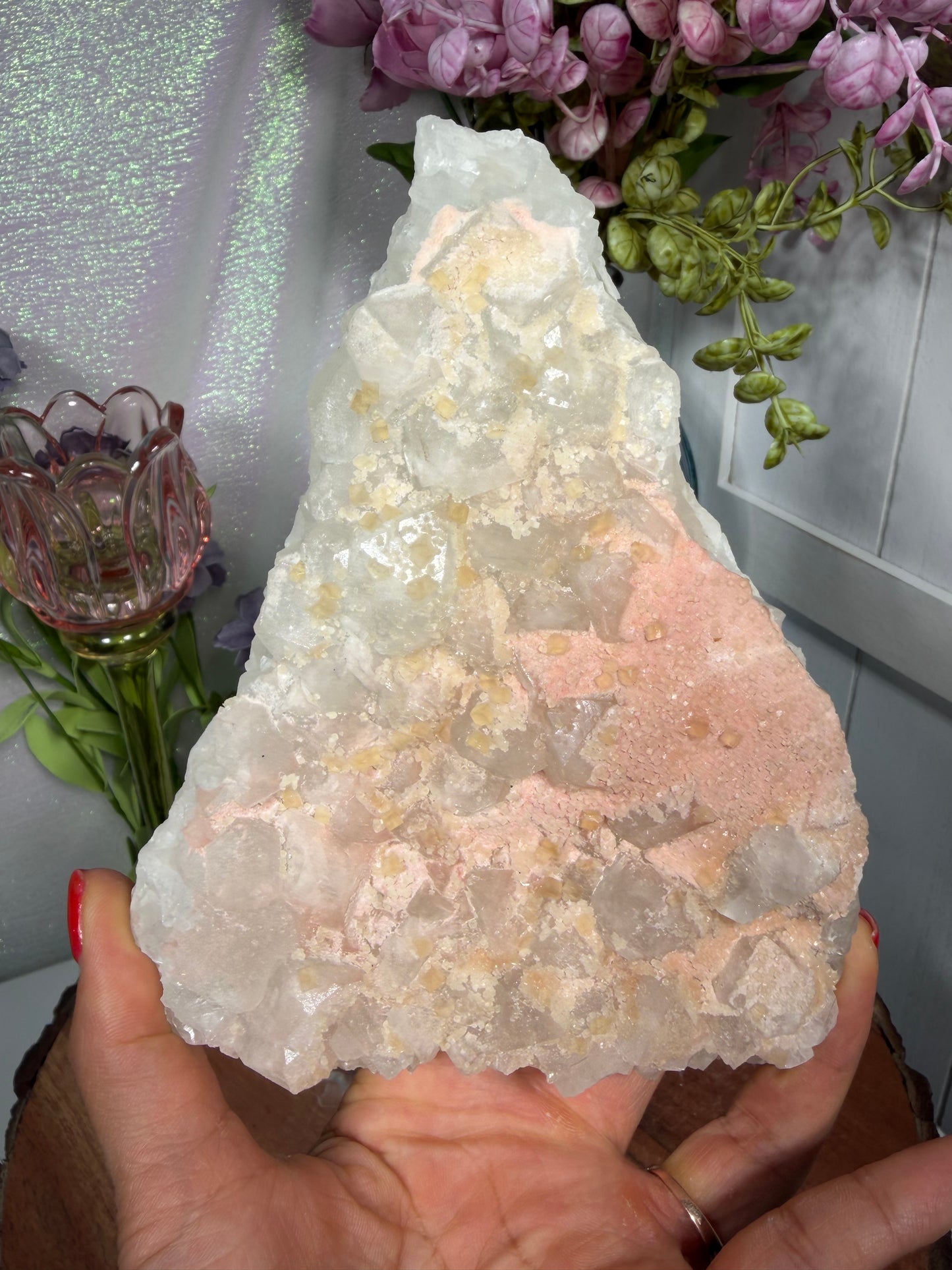 'Starlight Blush' 108