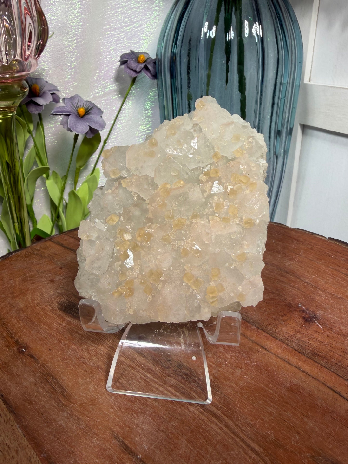 'Starlight Blush' 55