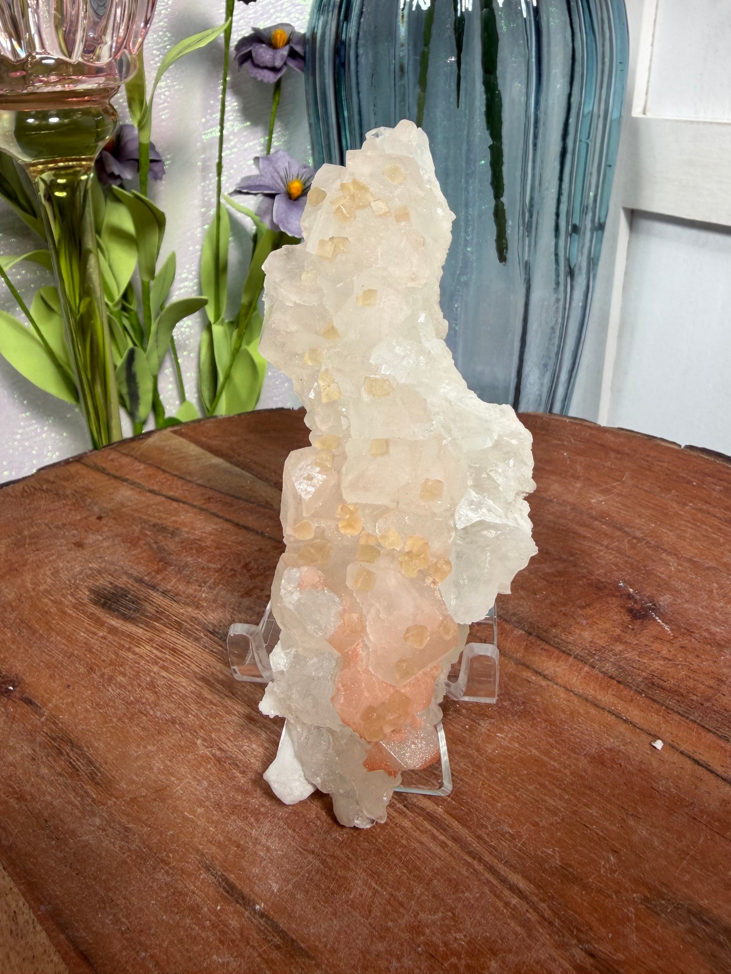 'Starlight Blush' 33