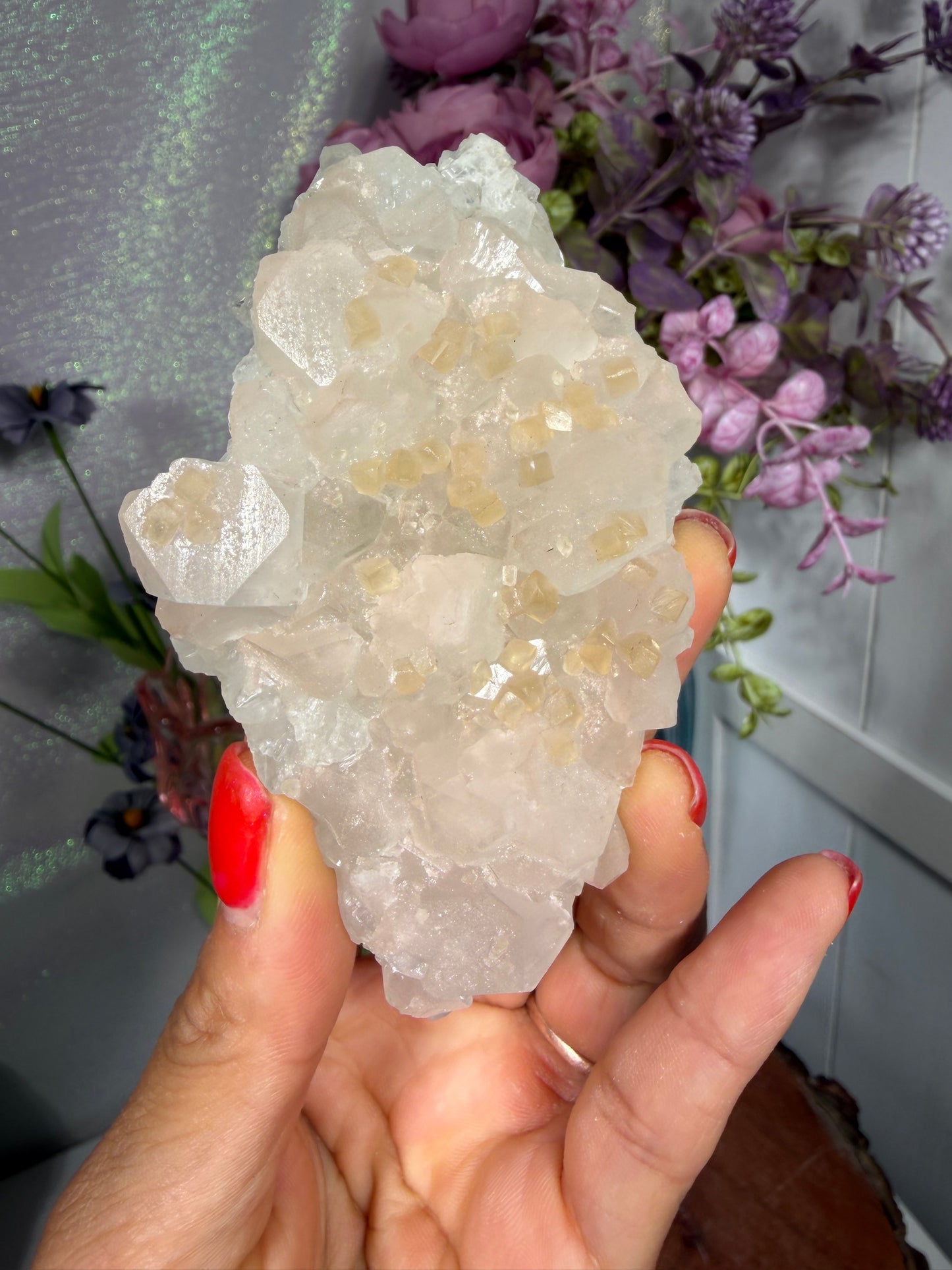 'Starlight Blush' 35a