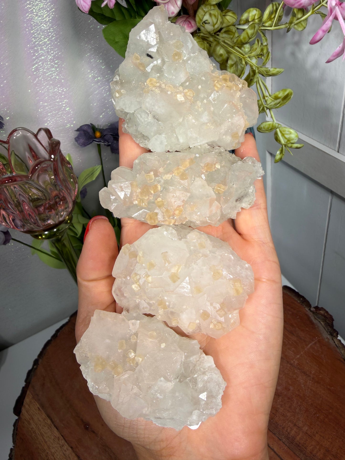 'Starlight Blush' 15, 17, 20a, 27