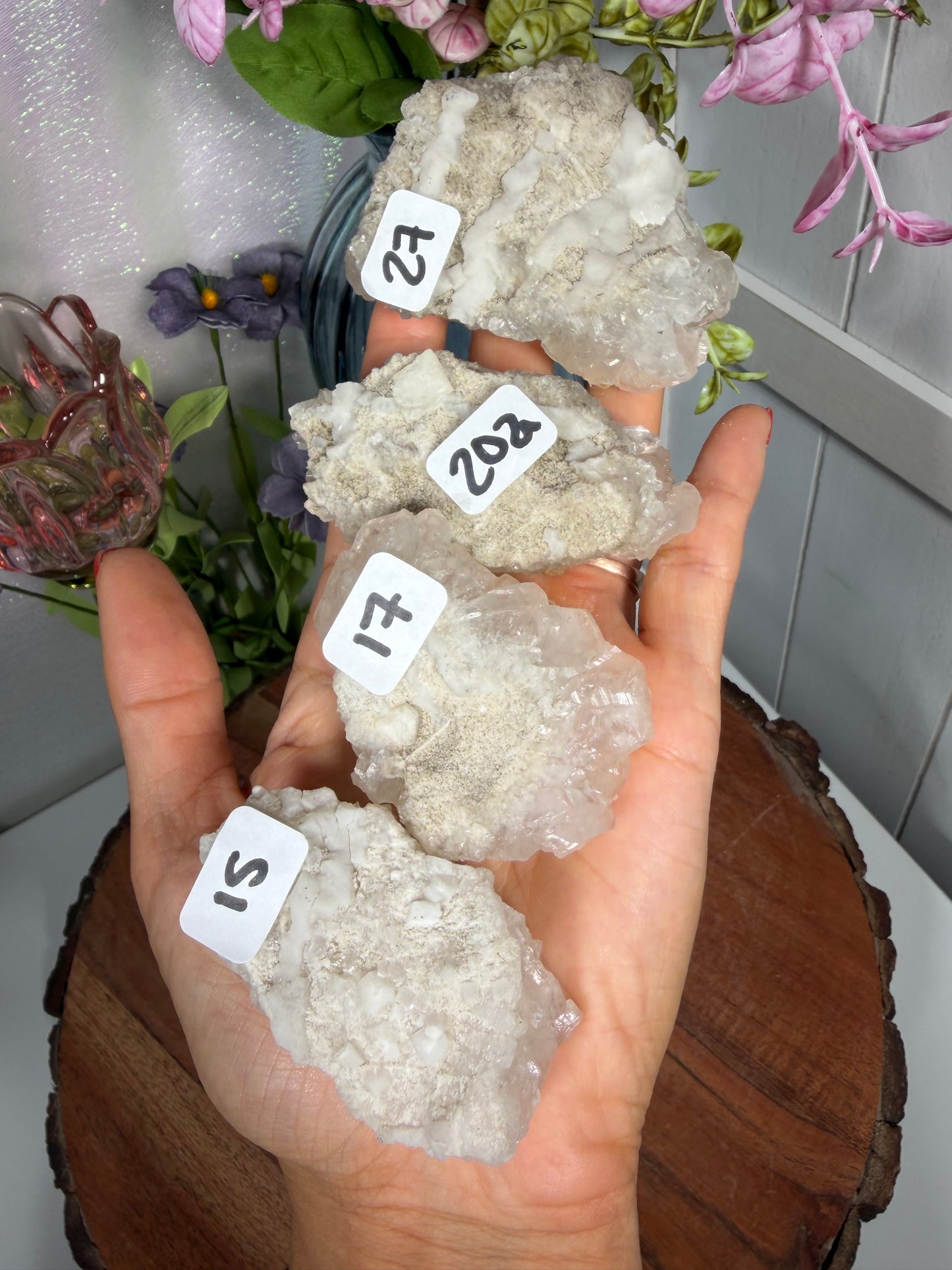 'Starlight Blush' 15, 17, 20a, 27