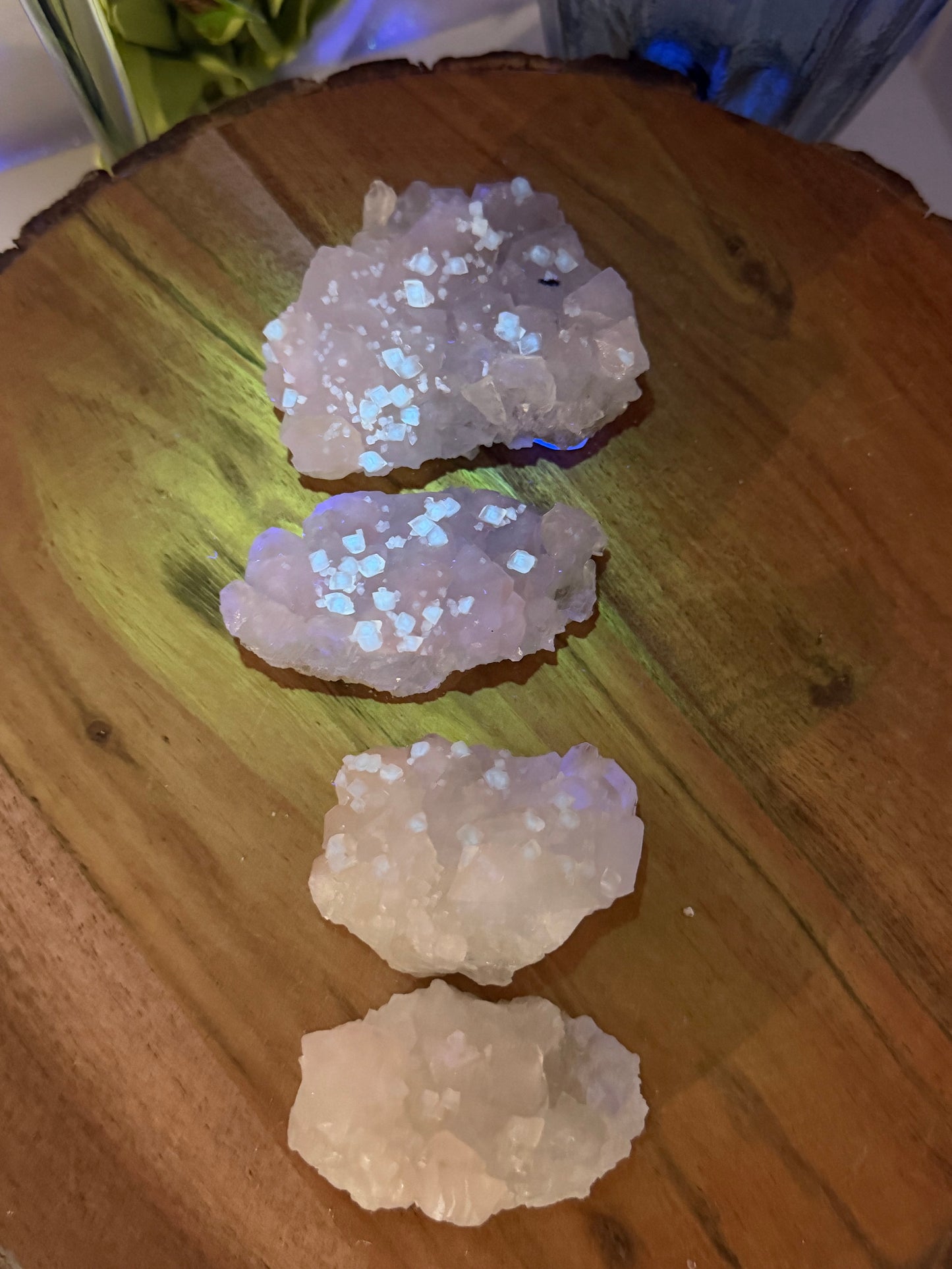 'Starlight Blush' 15, 17, 20a, 27