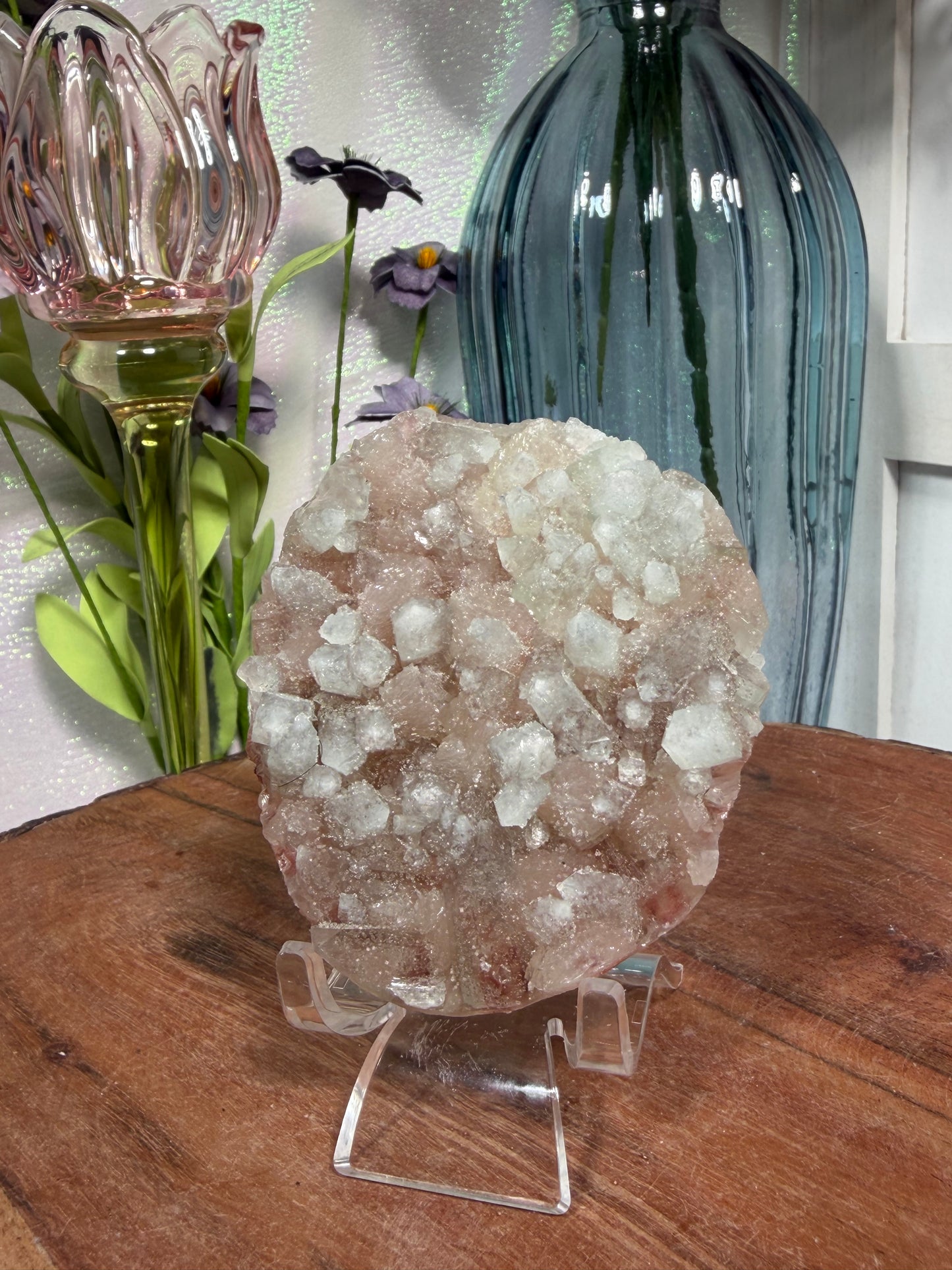 'Frosted Echeveria' 35