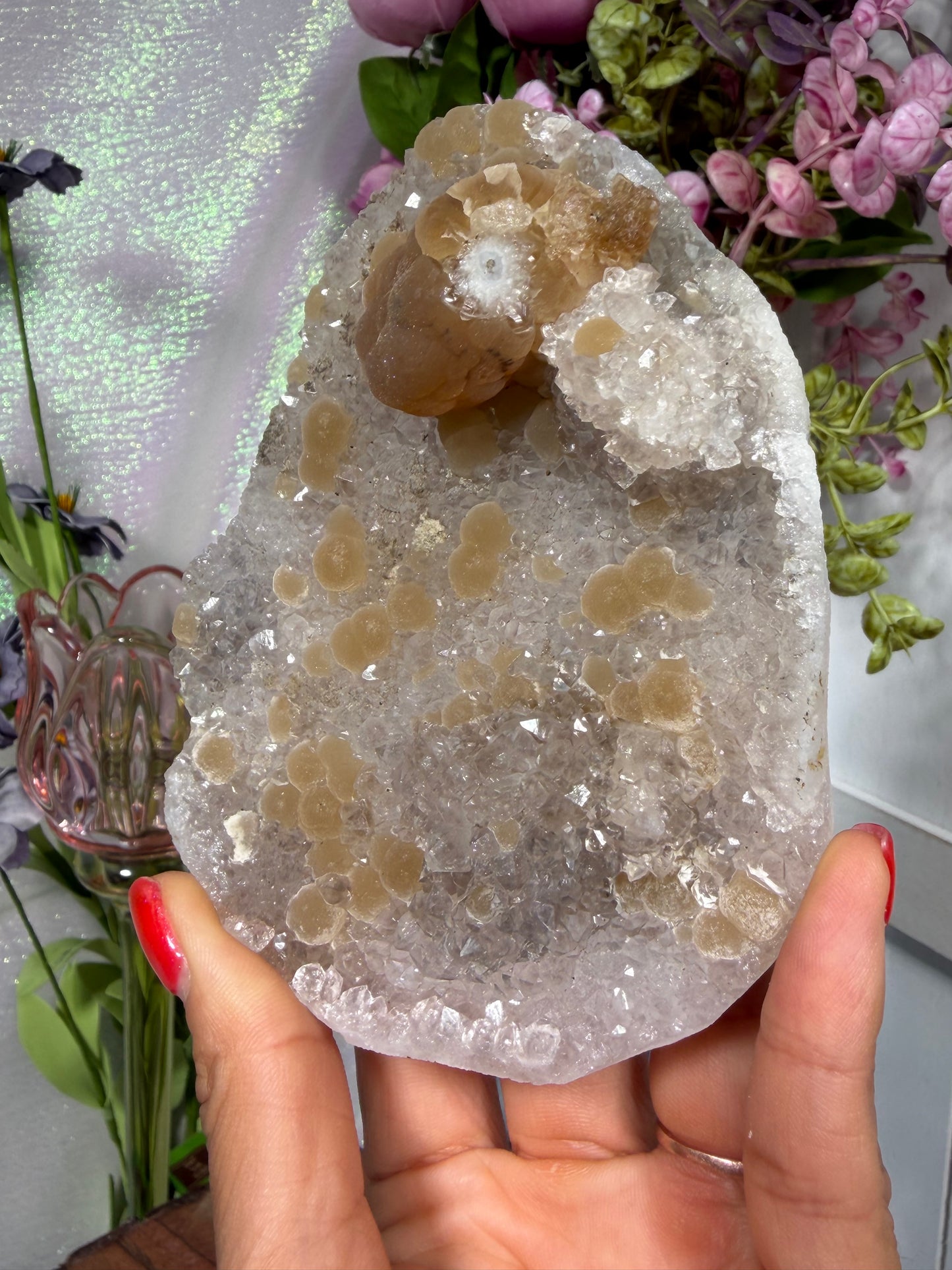 'Fairy Lantern' 125