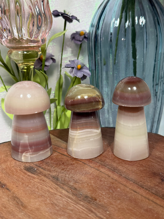 Watermelon Calcite Mushrooms