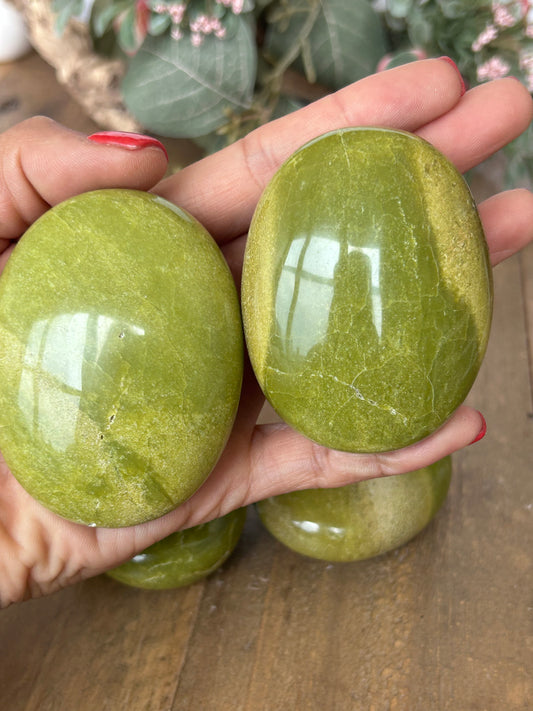 Avocado Jasper Palms