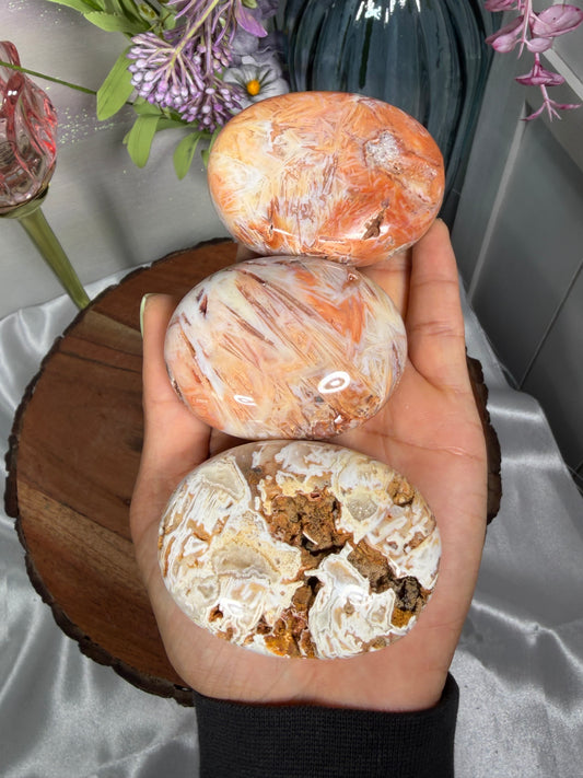 Stick Agate Palms
