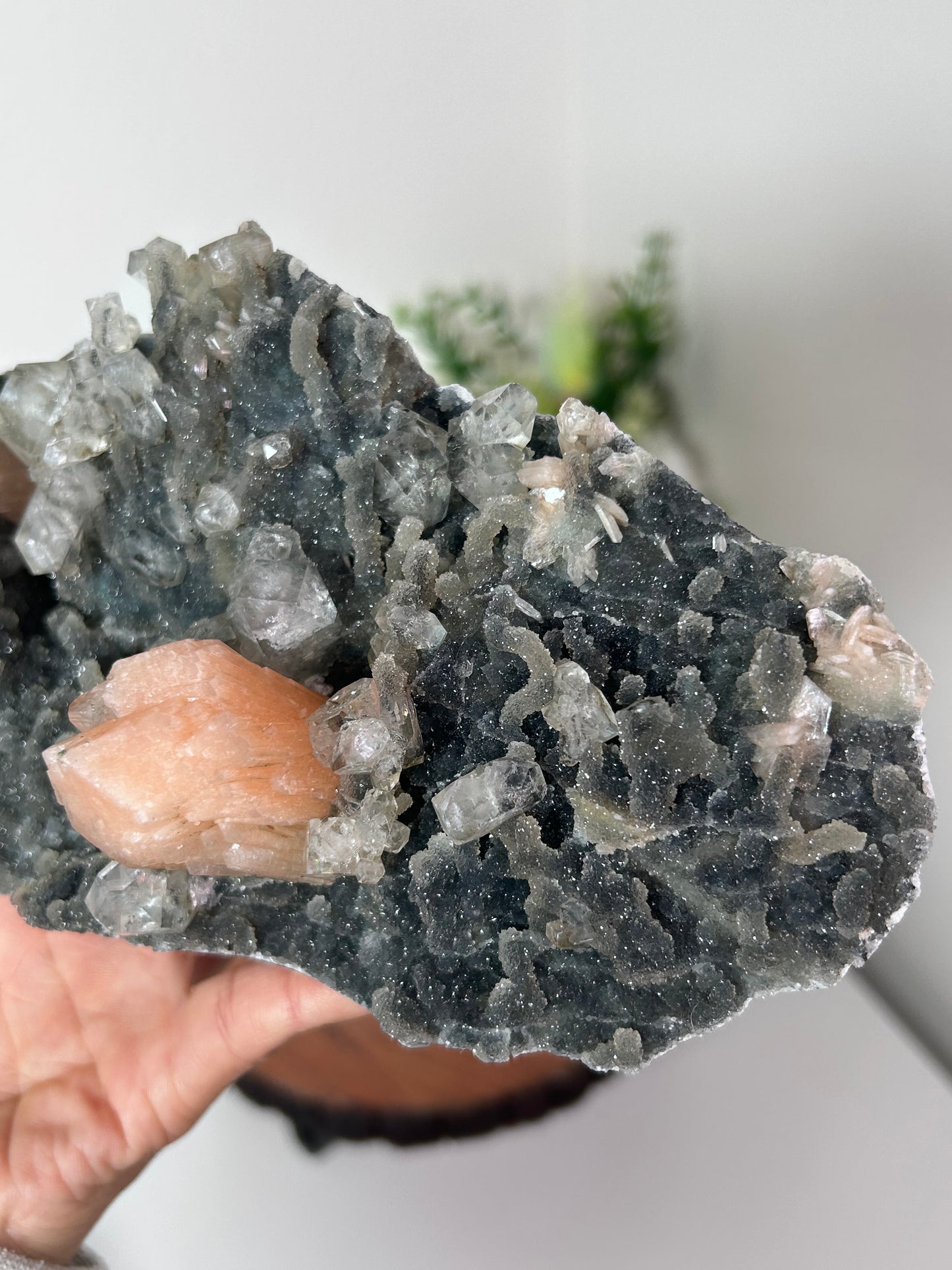 Black Chalcedony with Stilbite and Diamond Apophyllite 272