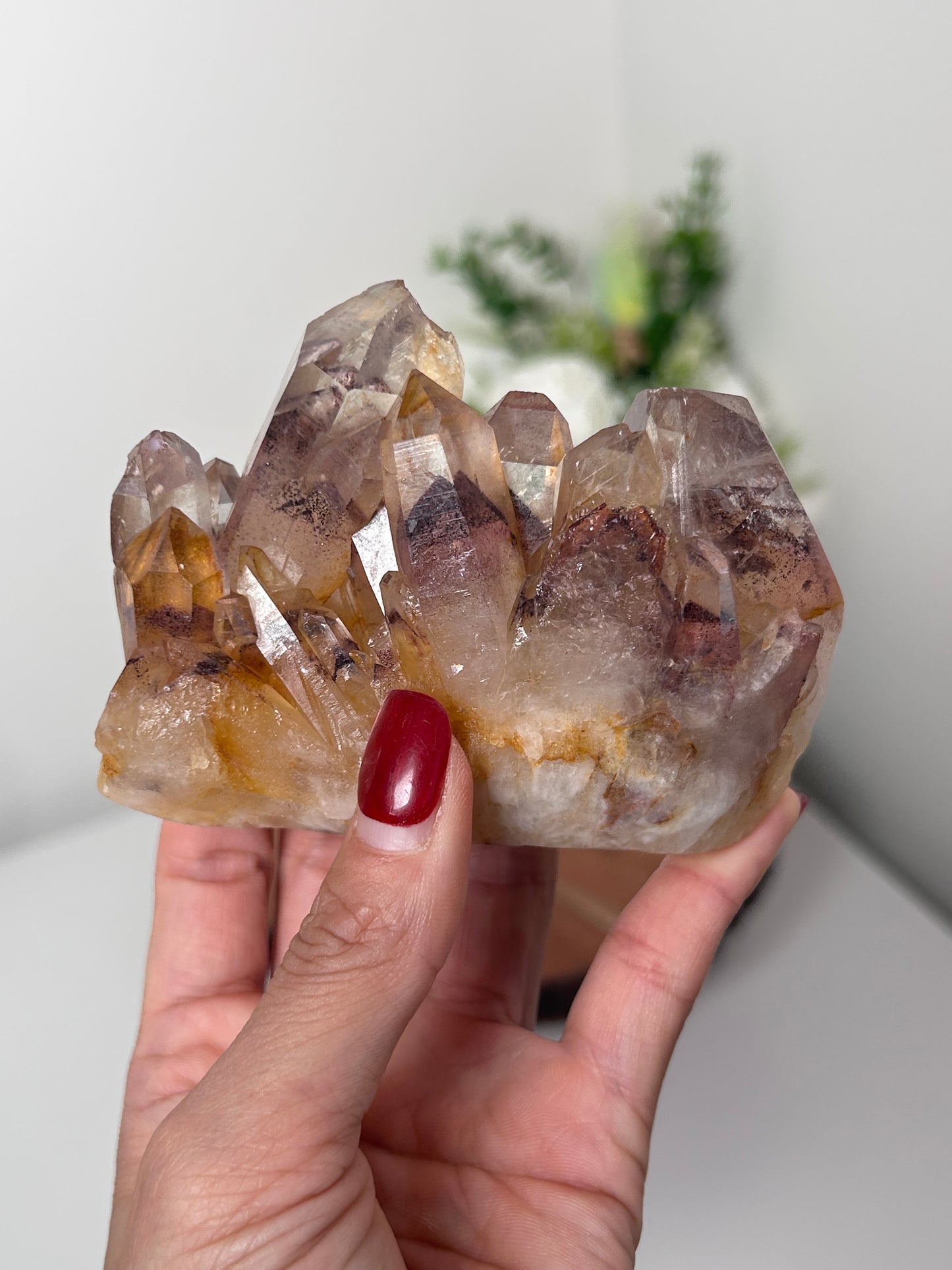 Sunset Phantom Quartz India 302