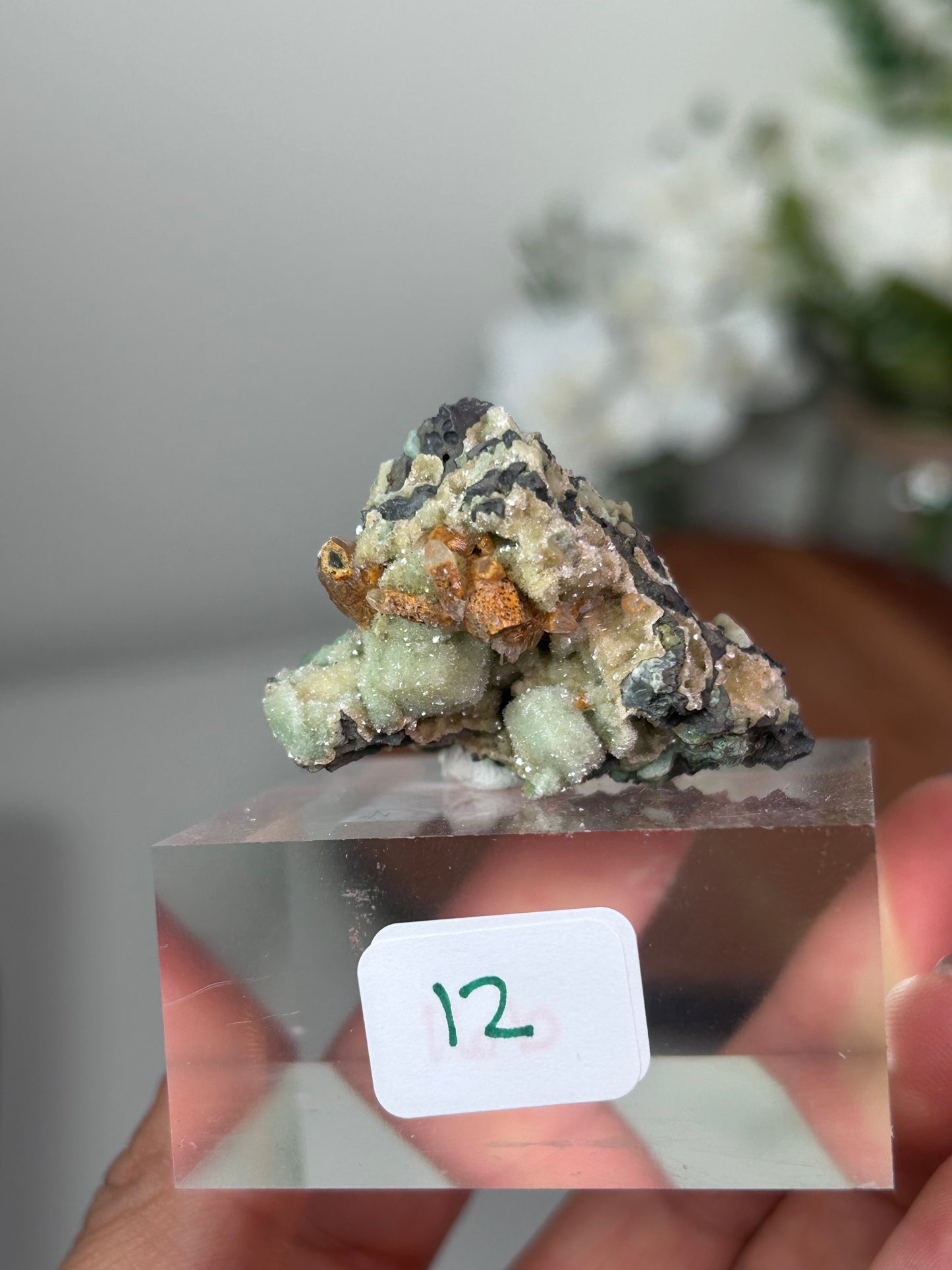 Dog Tooth Calcite with heulandite & chalcedony 12