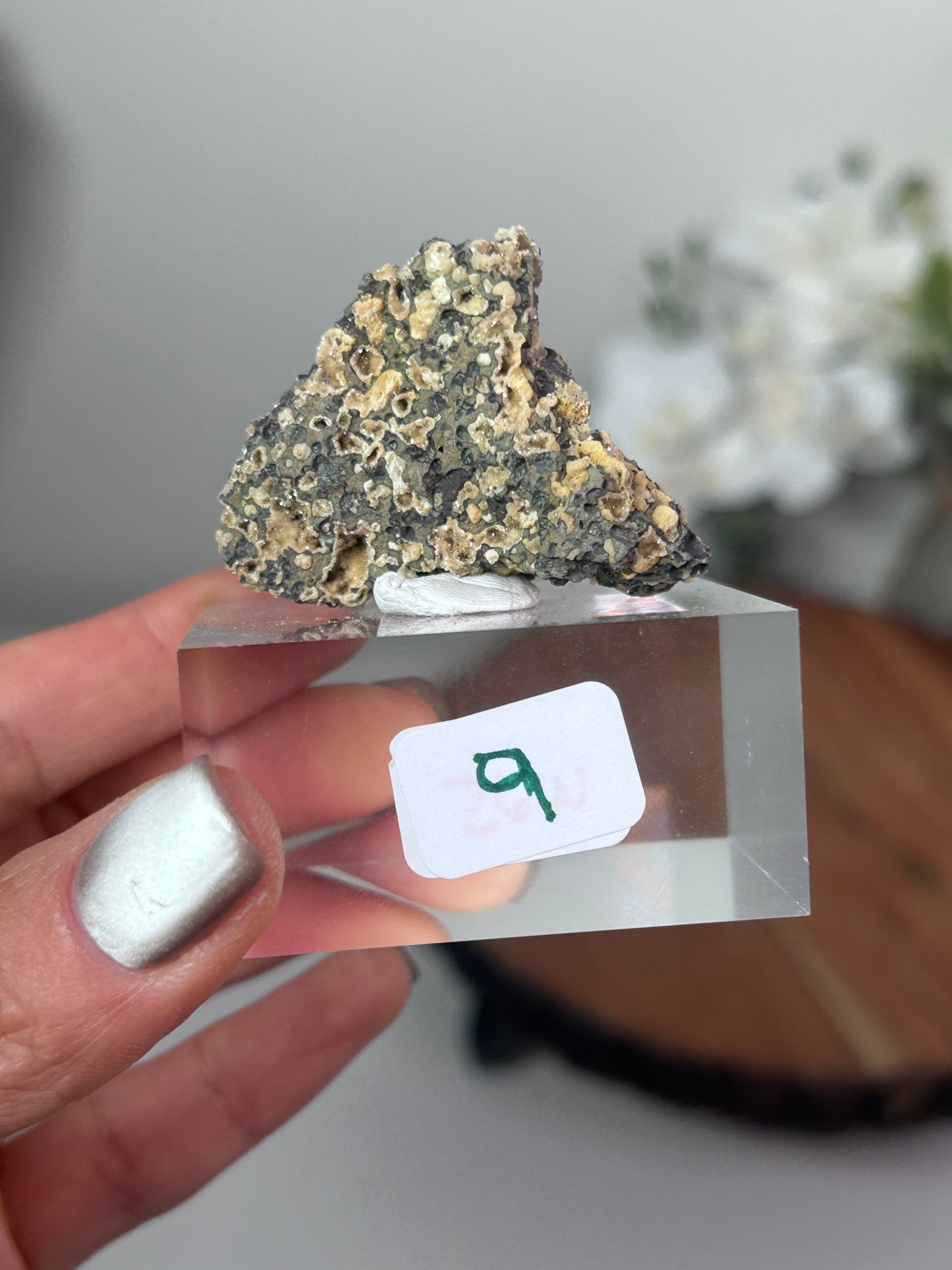 Dog Tooth Calcite with heulandite & chalcedony 9