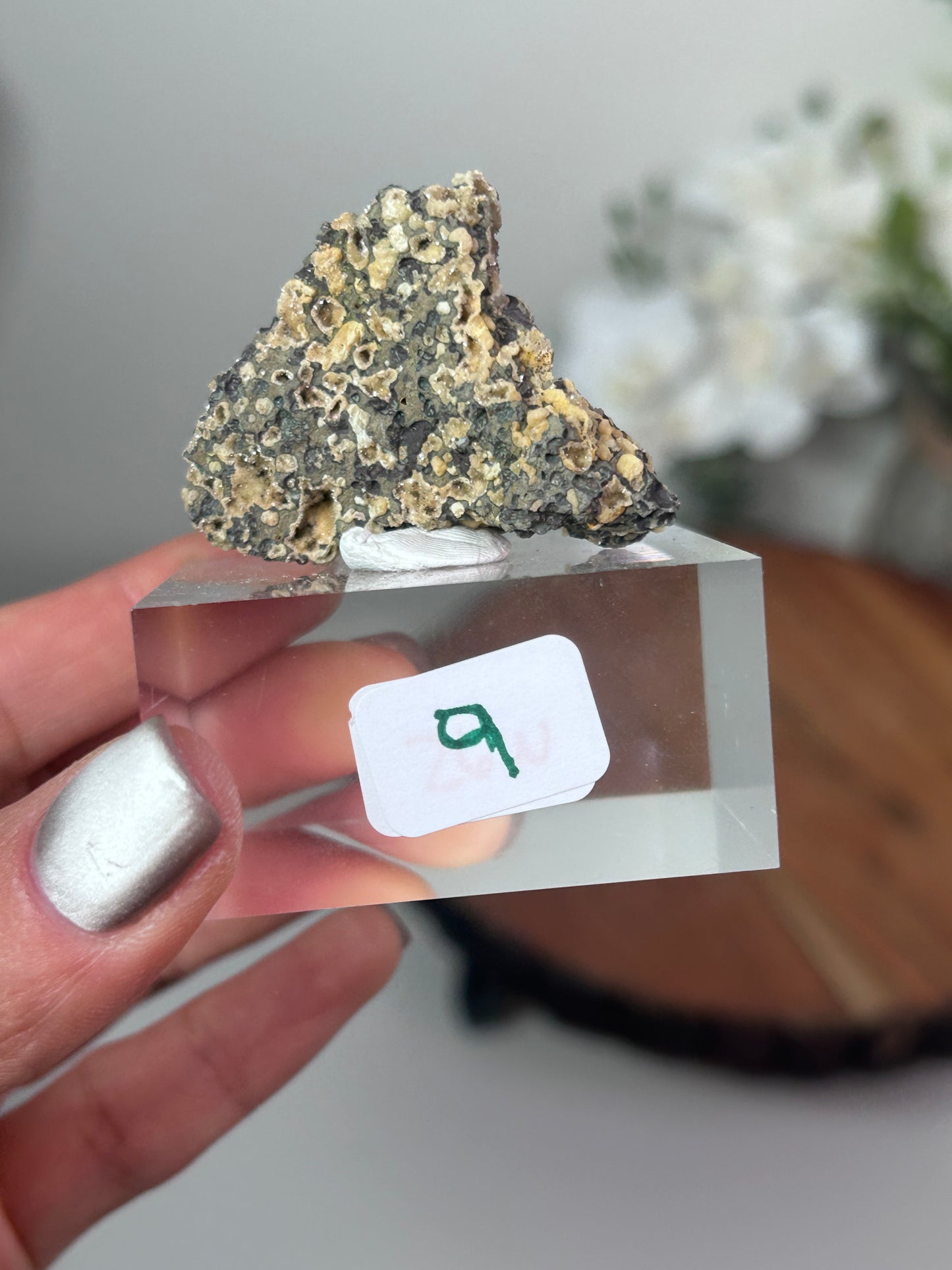 Dog Tooth Calcite with heulandite & chalcedony 9