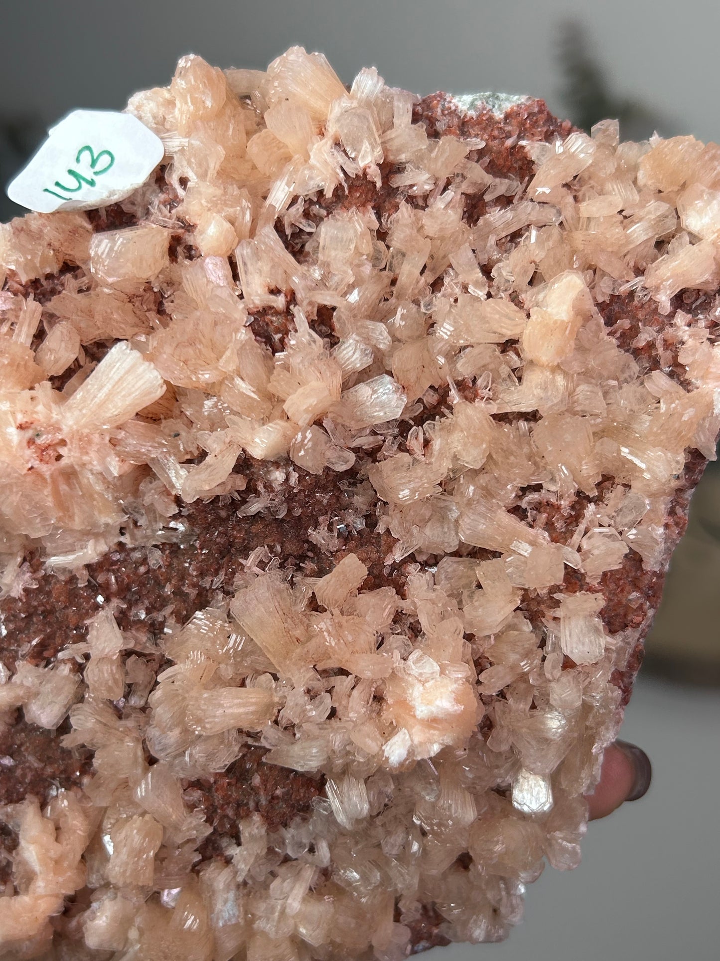 Peach Stilbite on Red Chalcedony India 143